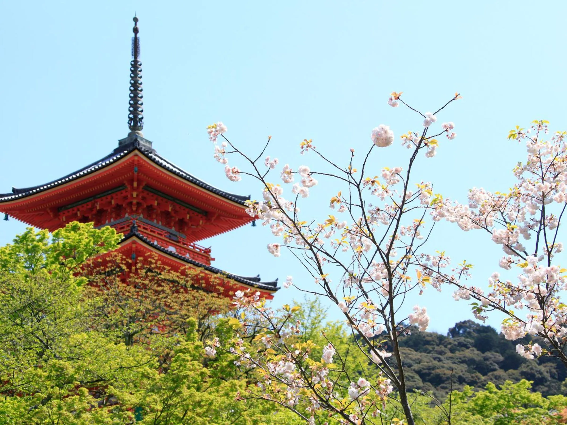 Nearby landmark in Vessel Hotel Campana Kyoto Gojo