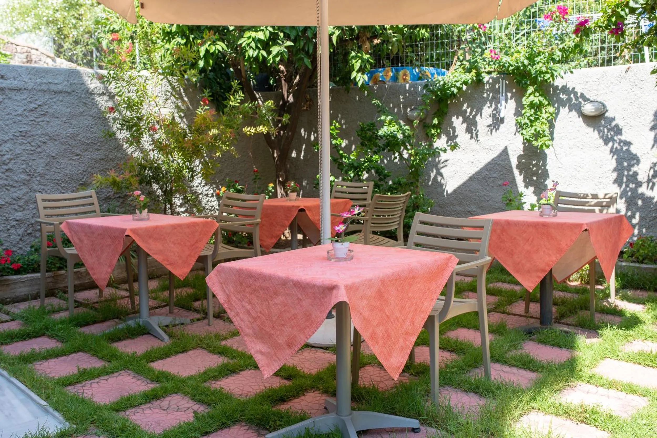 Garden in Heliotrope The Studios