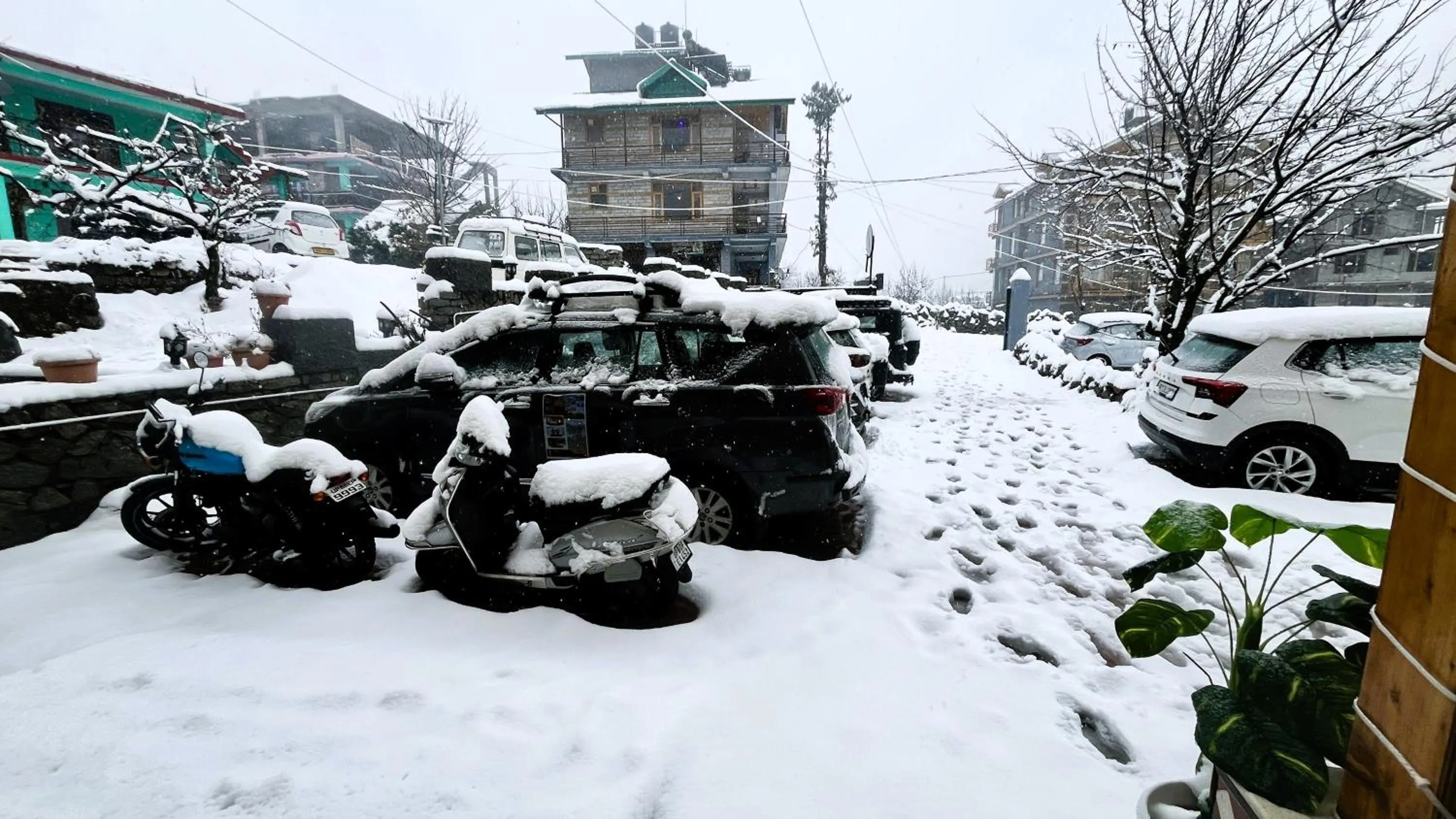 Winter in WANDER THRIVES INN By Ads Manali