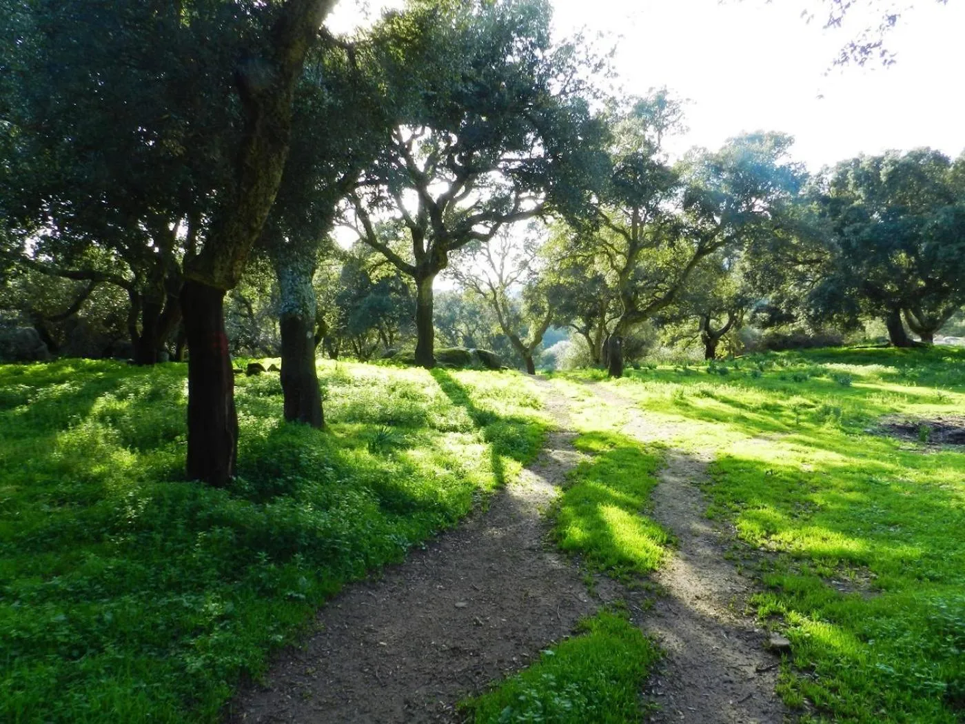 Nearby landmark in Chicchiritanos