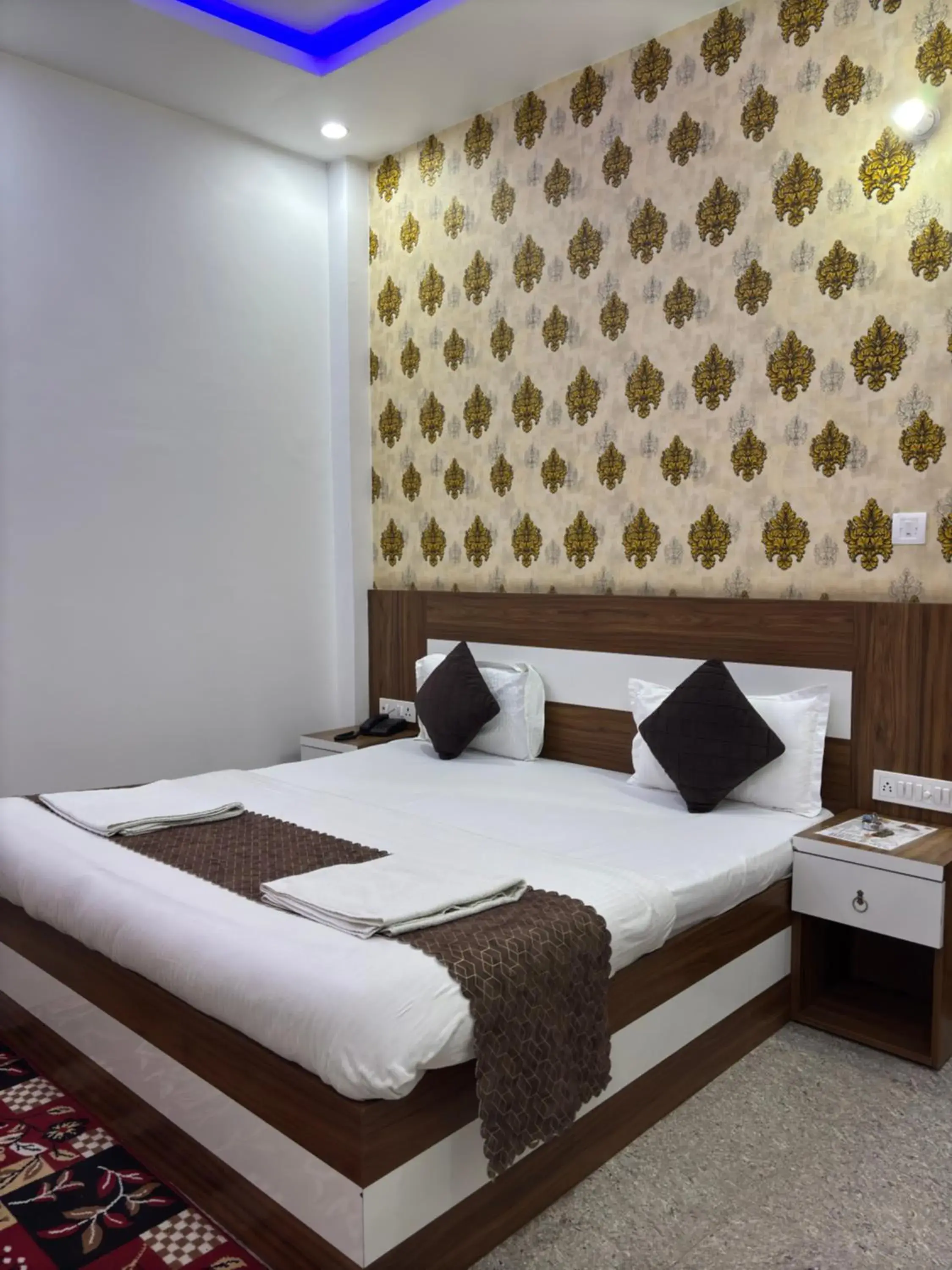 Double Room - single occupancy in Hotel Ramay Palace Double Room - single occupancy in Hotel Ramay Palace