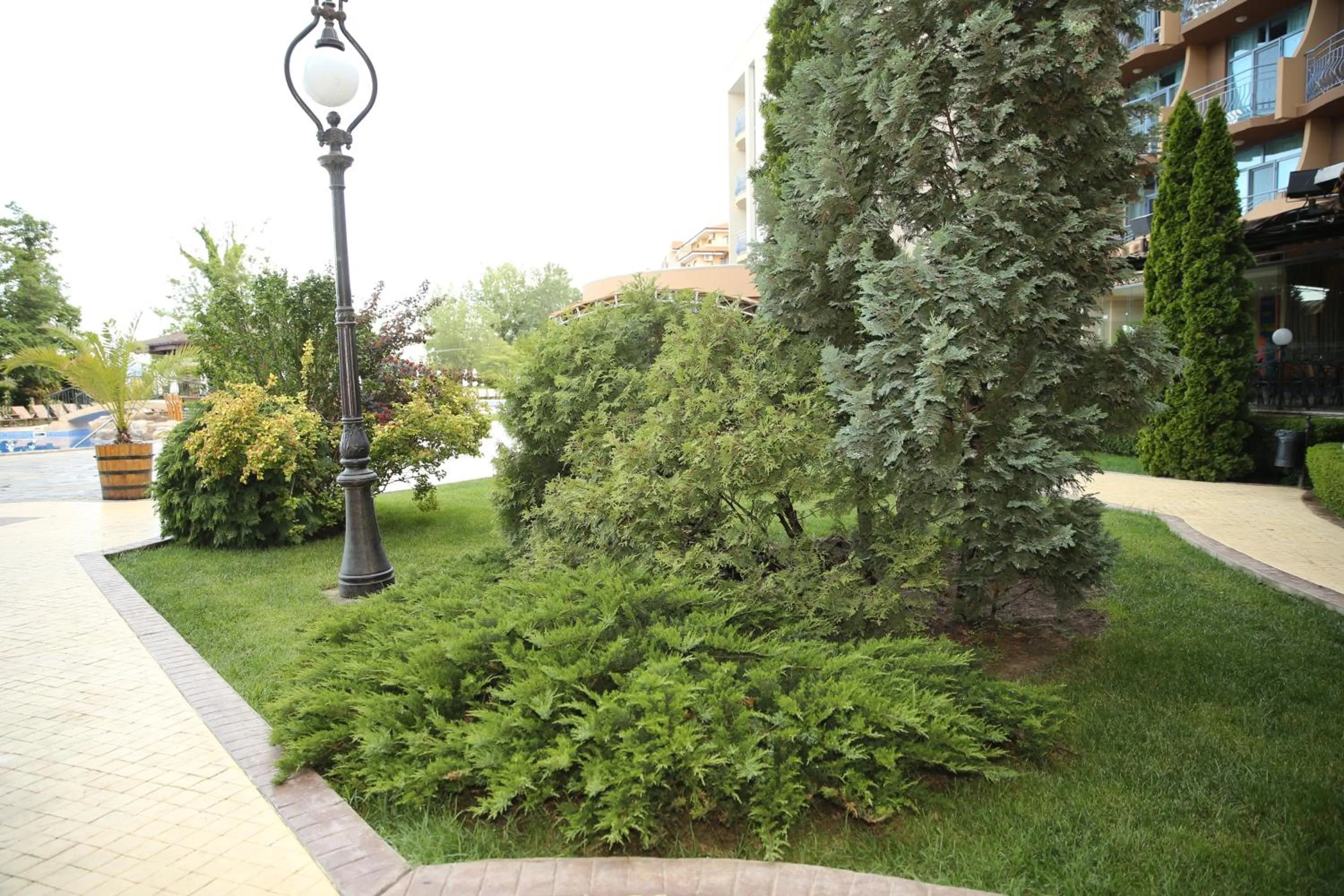 Day in Tiara Beach - All Inclusive