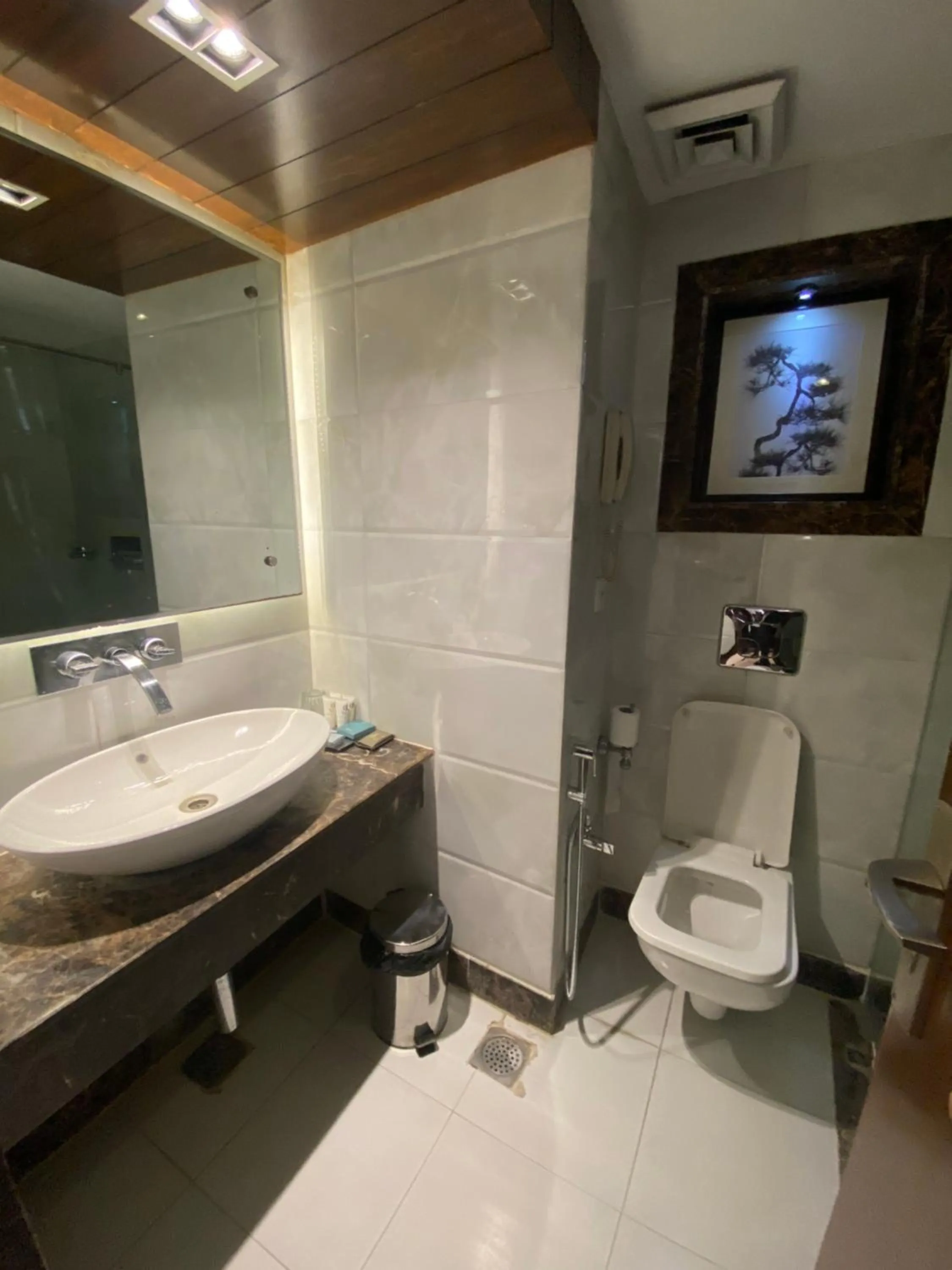 Toilet in Country Inn & Suites By Radisson Jammu