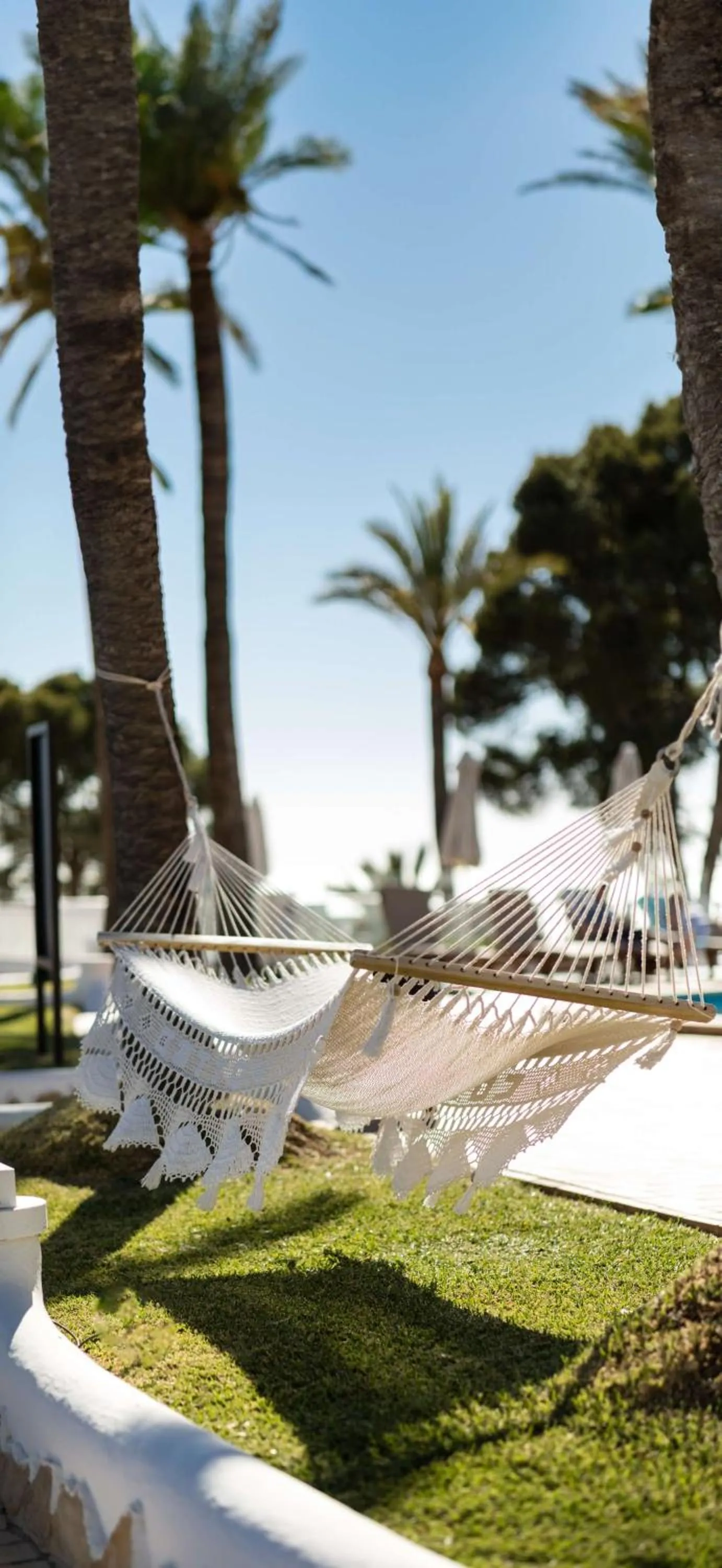 Pool view in Hilton Mallorca Galatzo