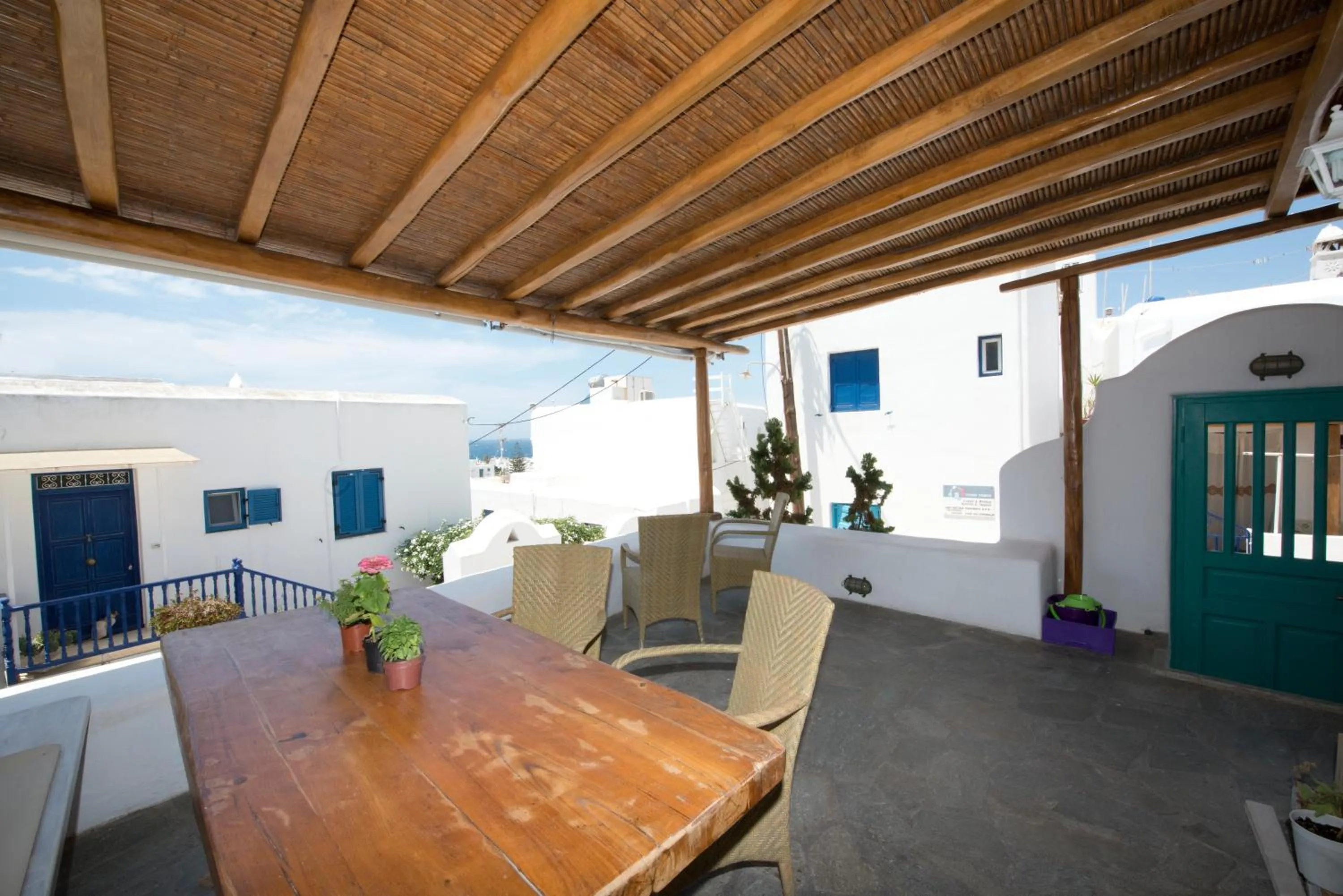 Hibiscus Rosa Mykonos