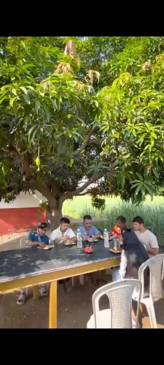 Garden in Sunrise Villa