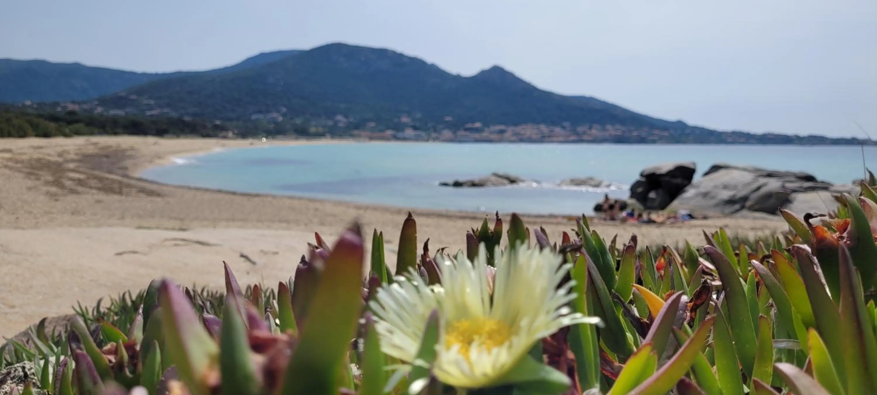 Beach in Résidences Sopramare