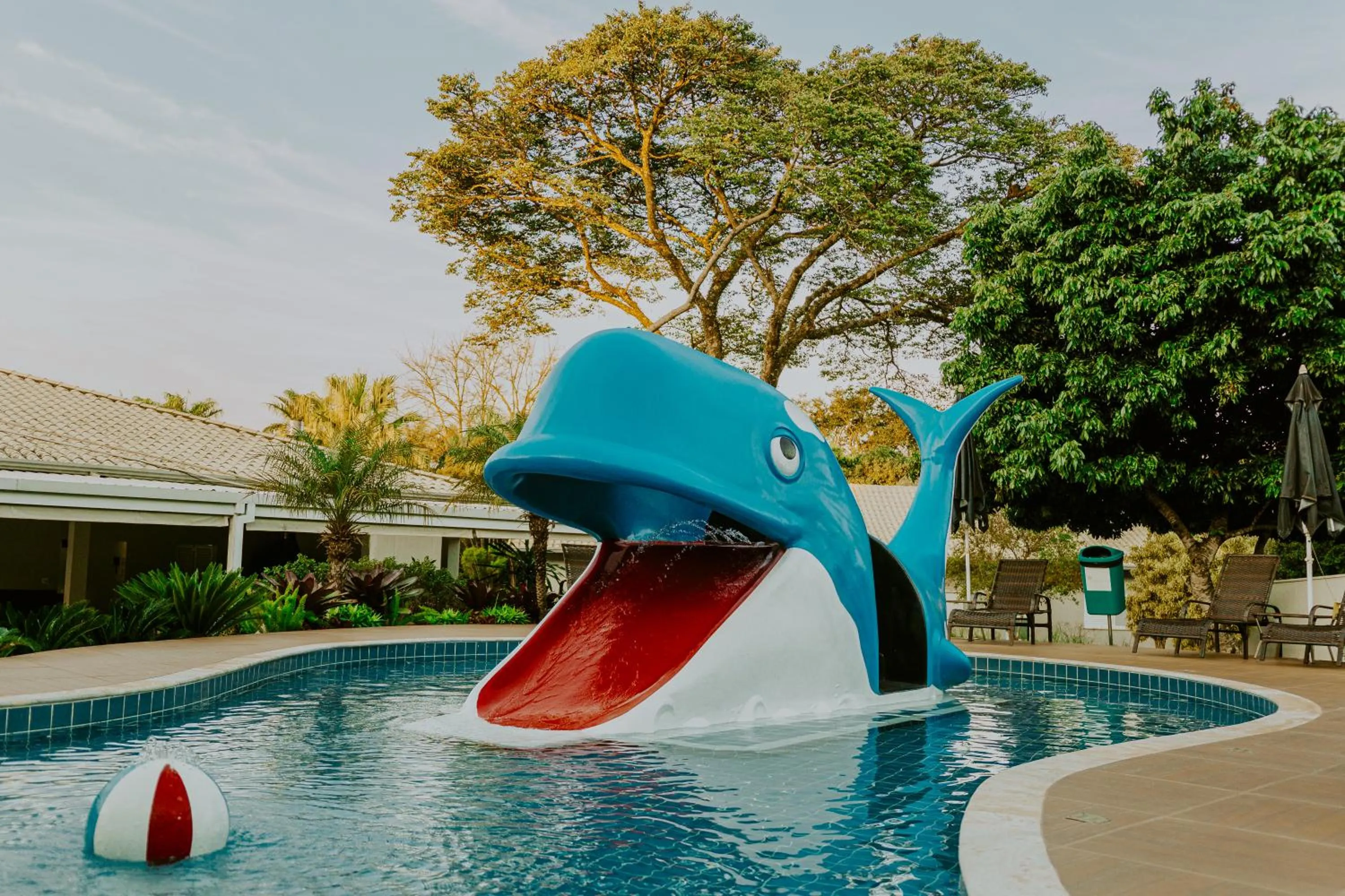 Swimming pool in Valinhos Plaza Hotel