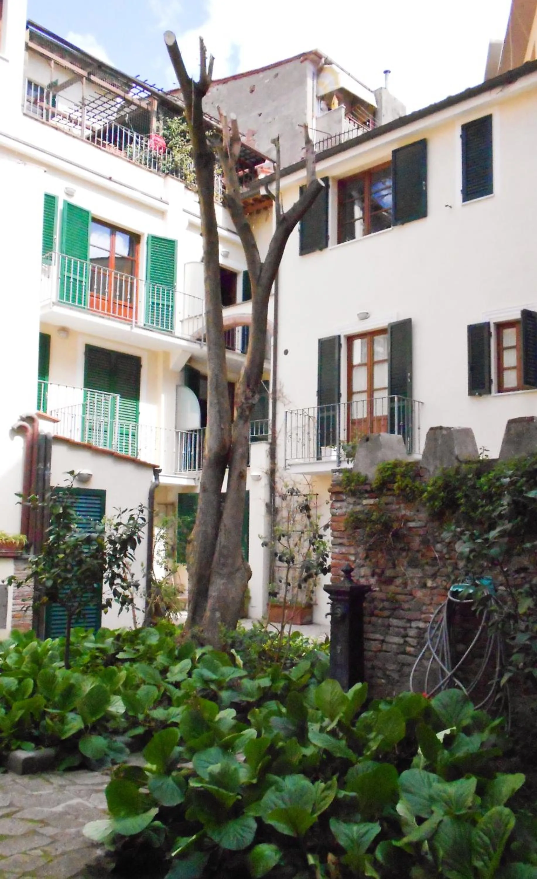 Garden in Residence Domus