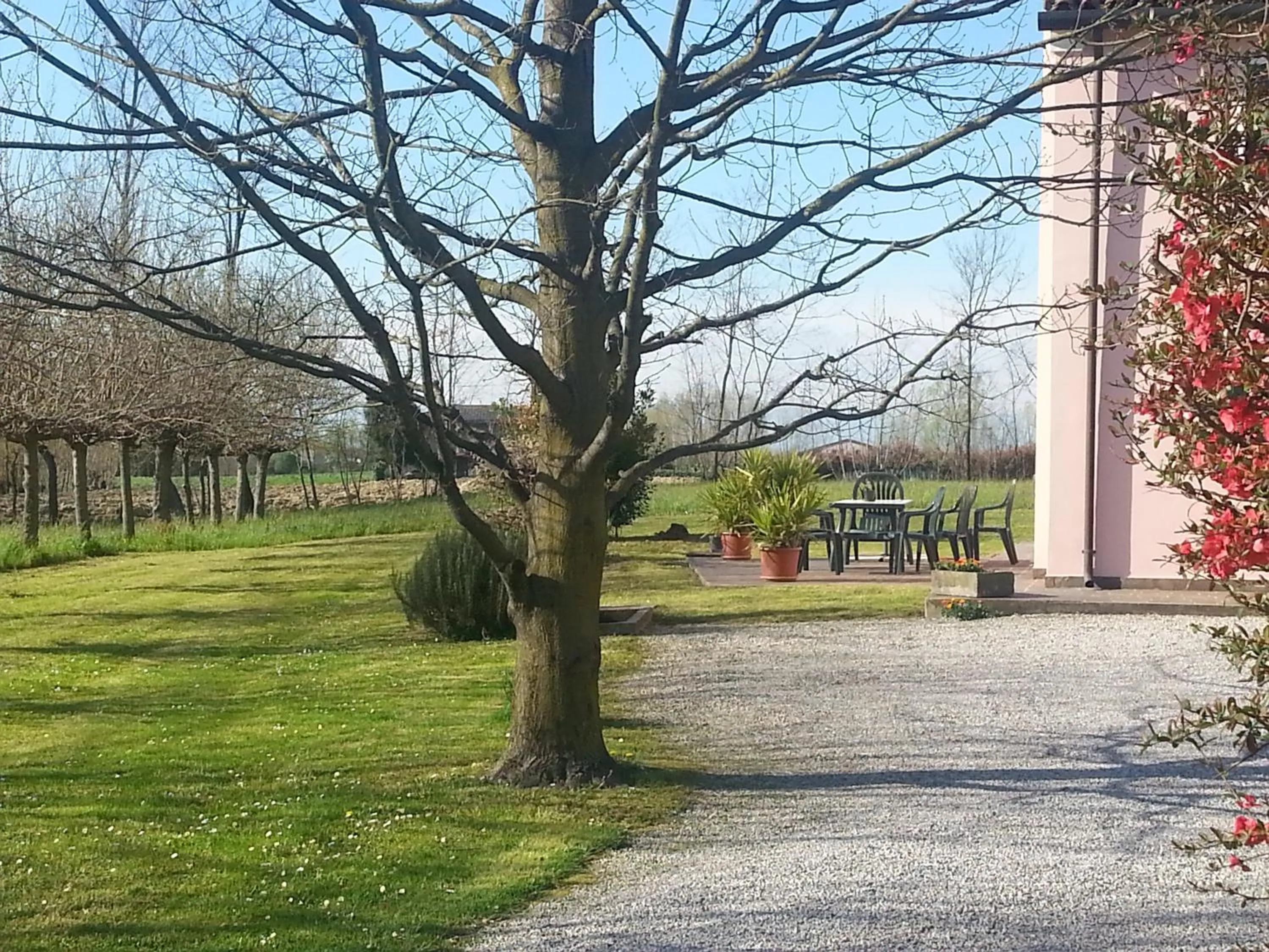 Casarosa B&B