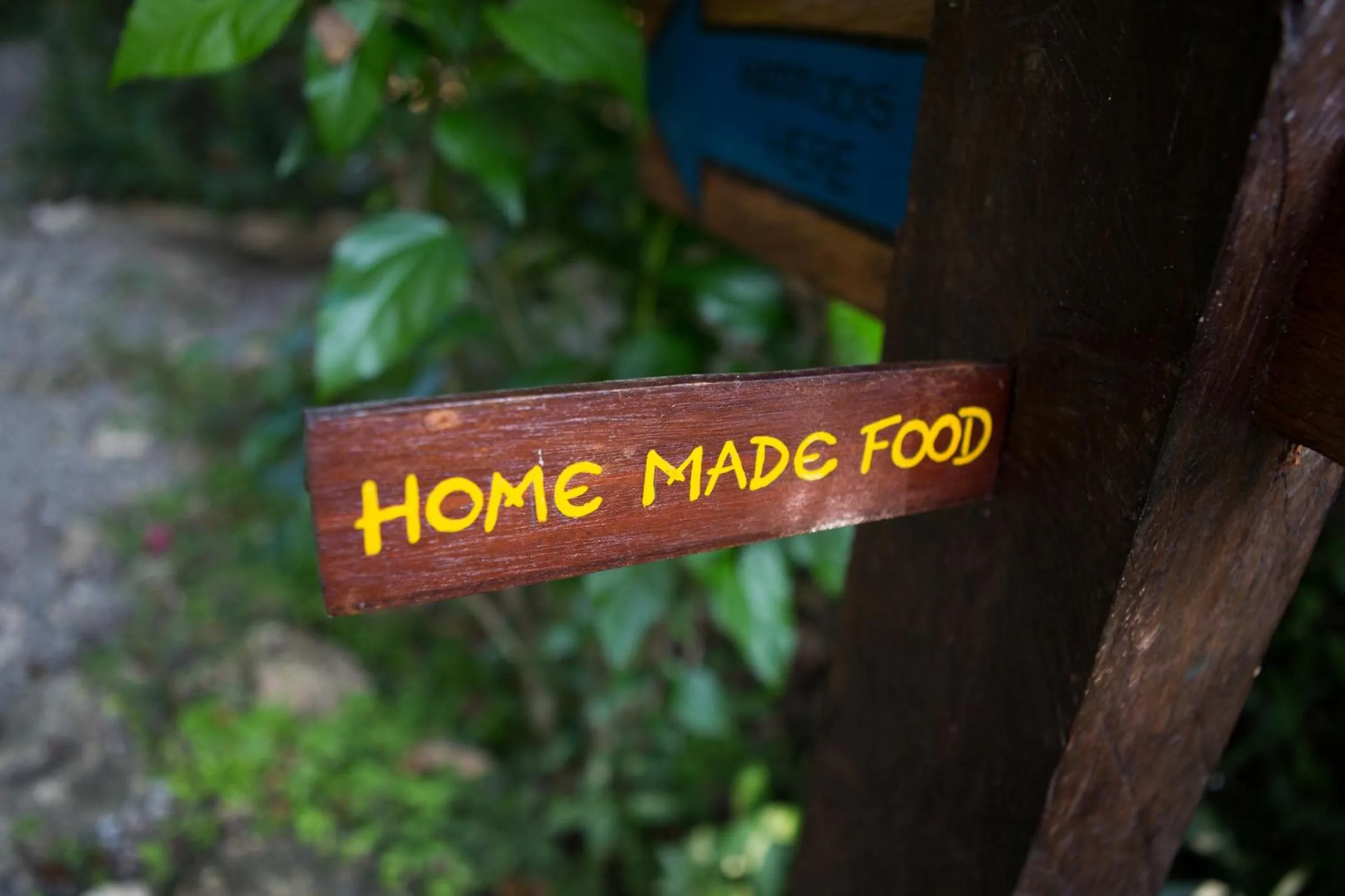 Restaurant/places to eat in El Hotelito Perdido