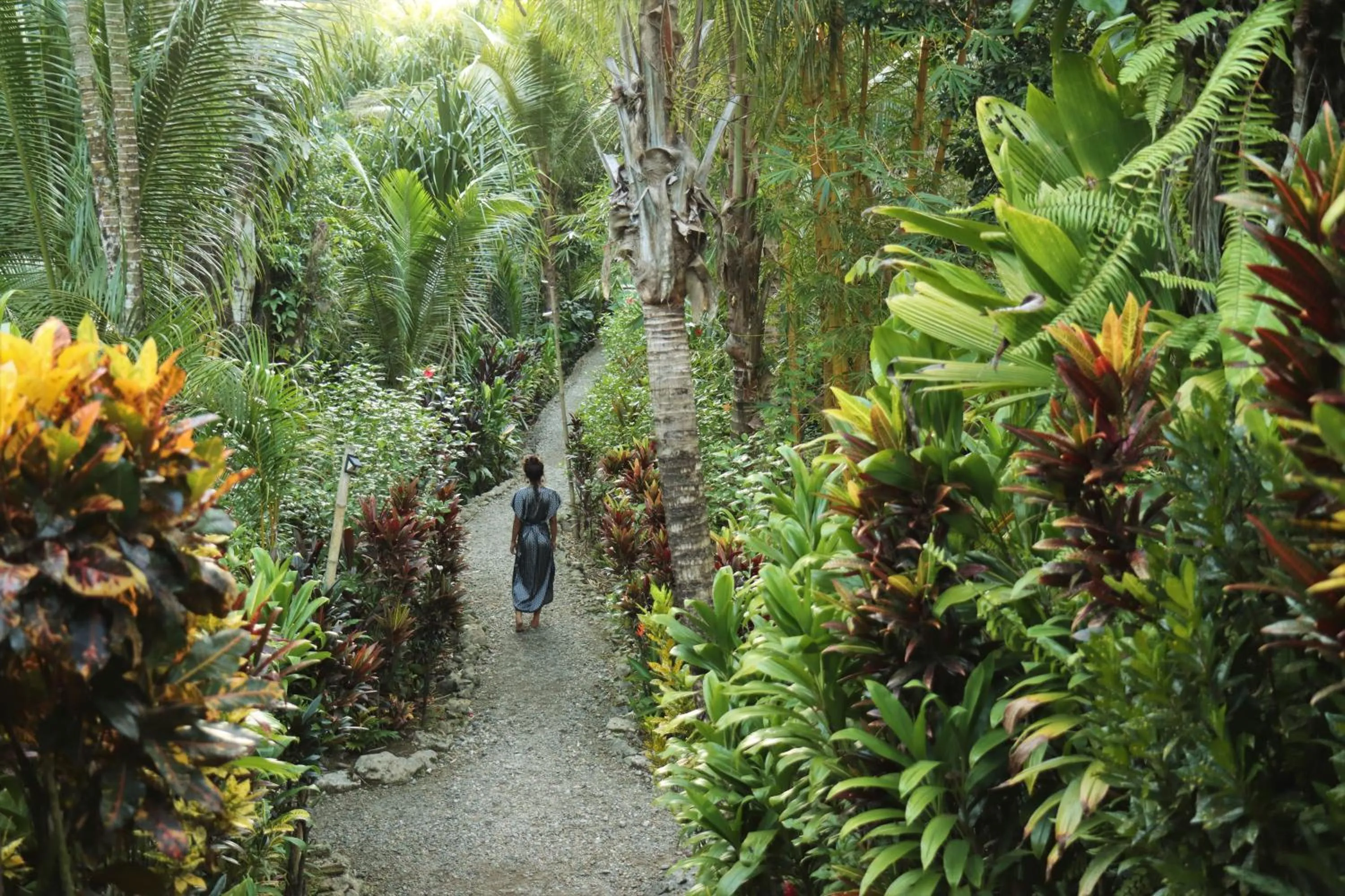 Garden in El Hotelito Perdido