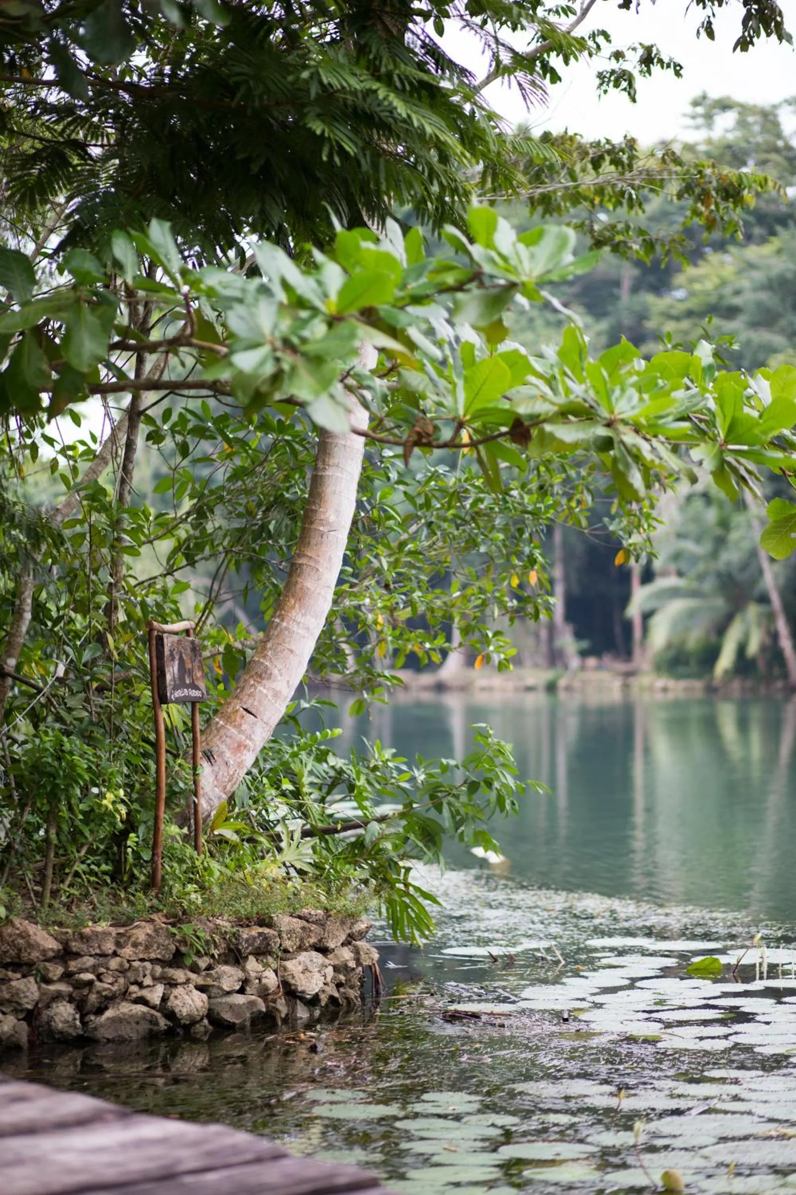 Beach in El Hotelito Perdido
