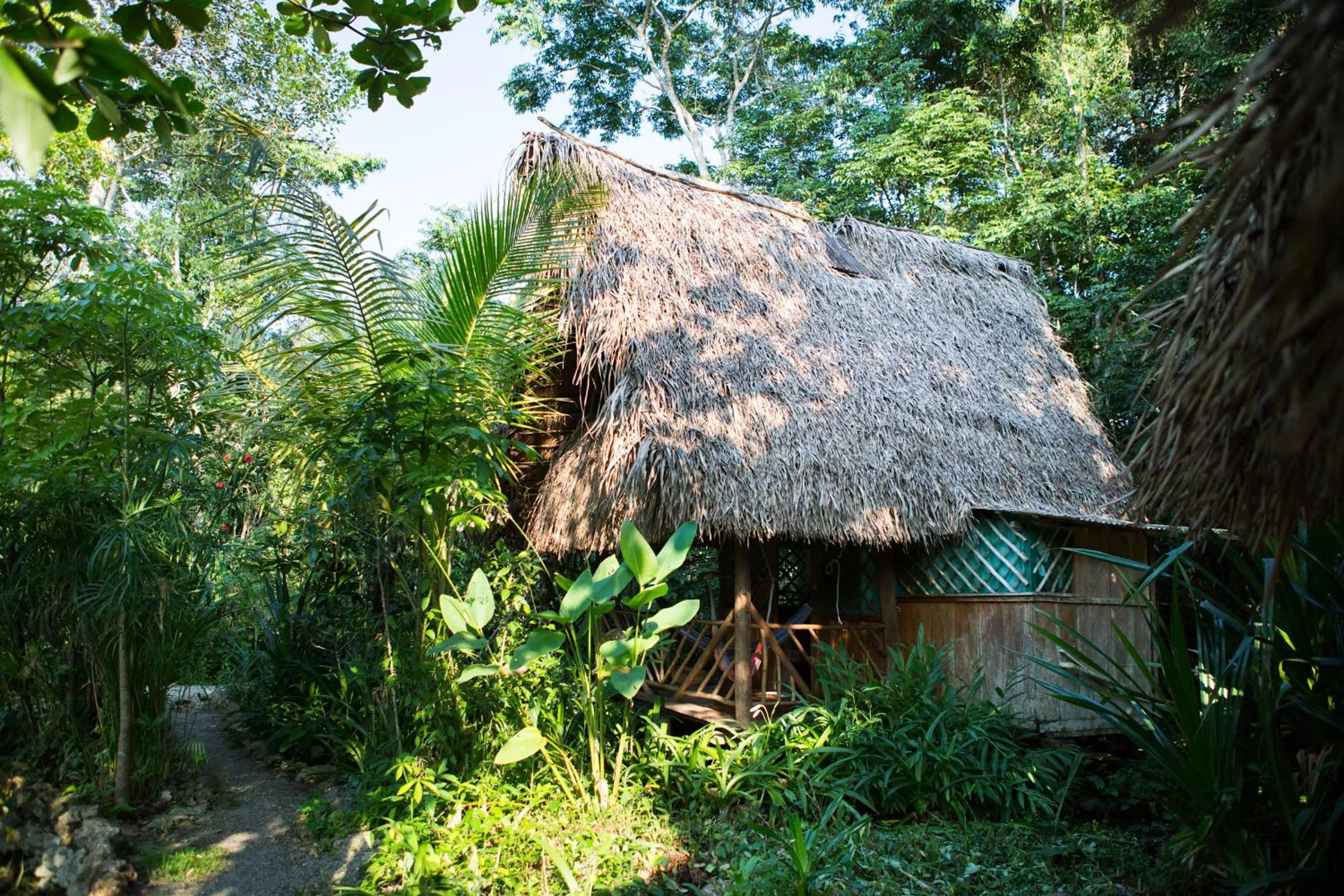 Photo of the whole room in El Hotelito Perdido