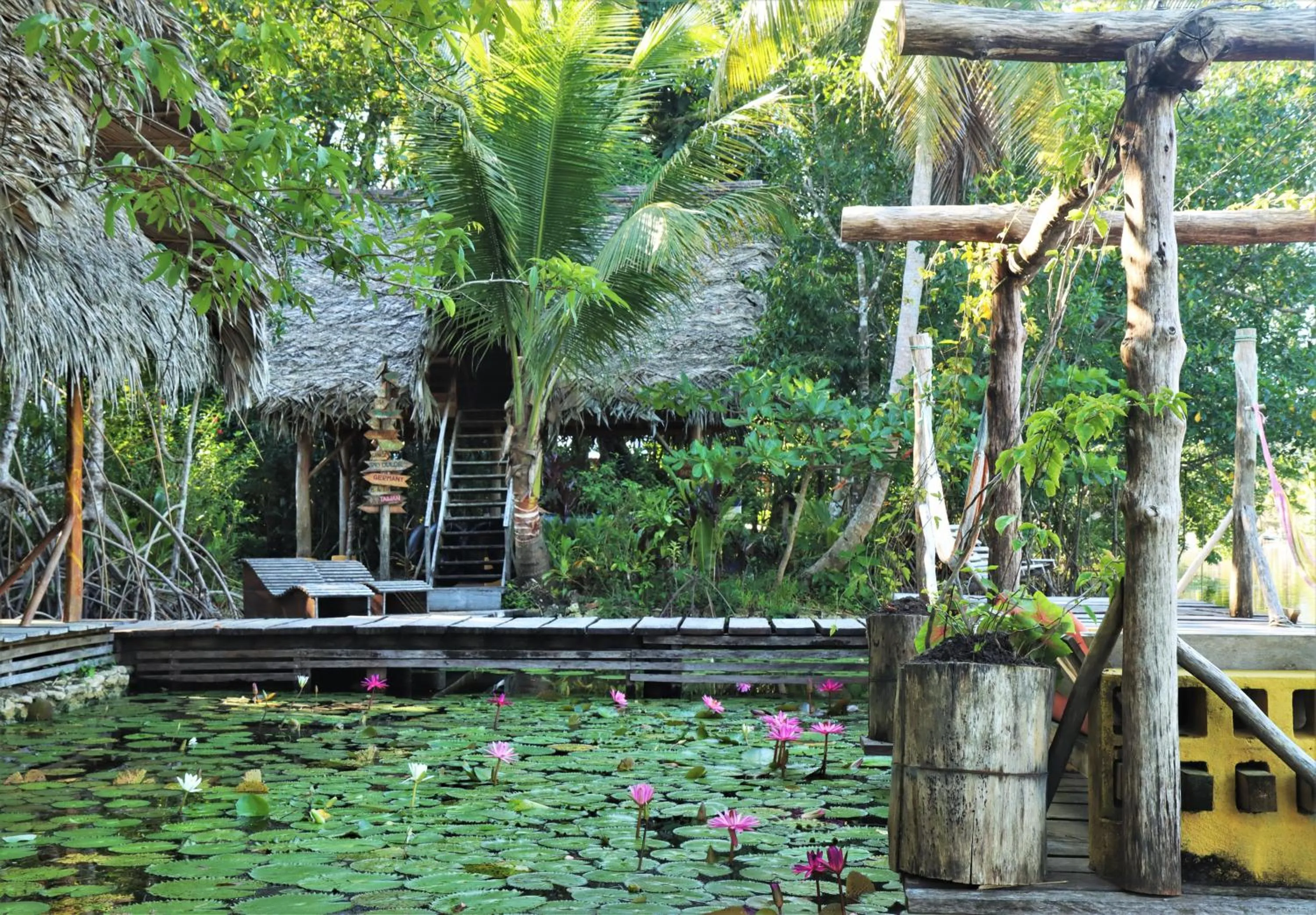 Garden in El Hotelito Perdido