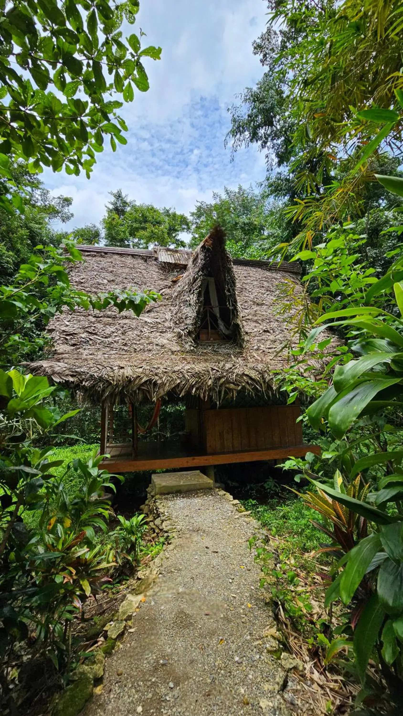 Economy Double Room - single occupancy in El Hotelito Perdido Economy Double Room - single occupancy in El Hotelito Perdido