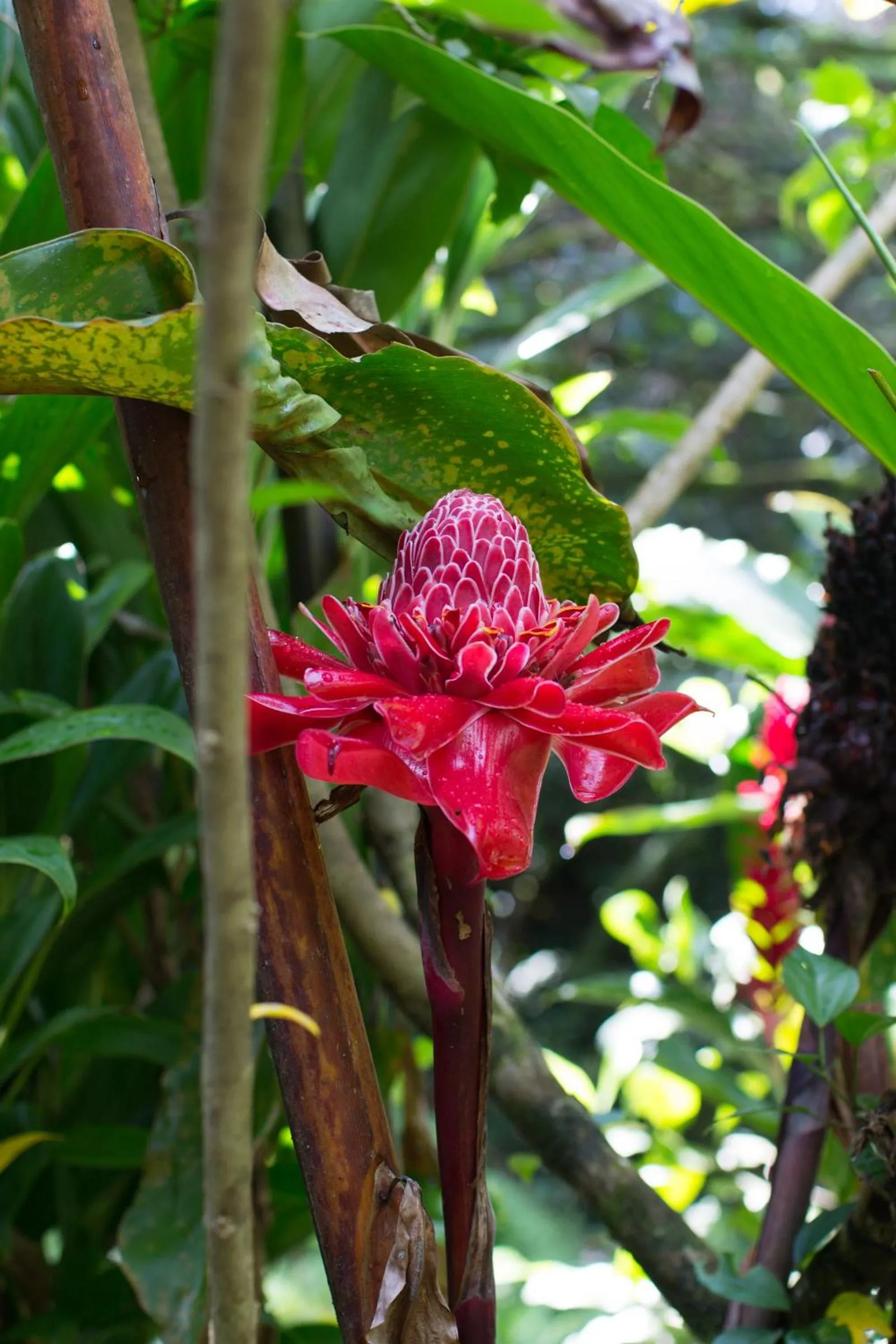 Other in El Hotelito Perdido