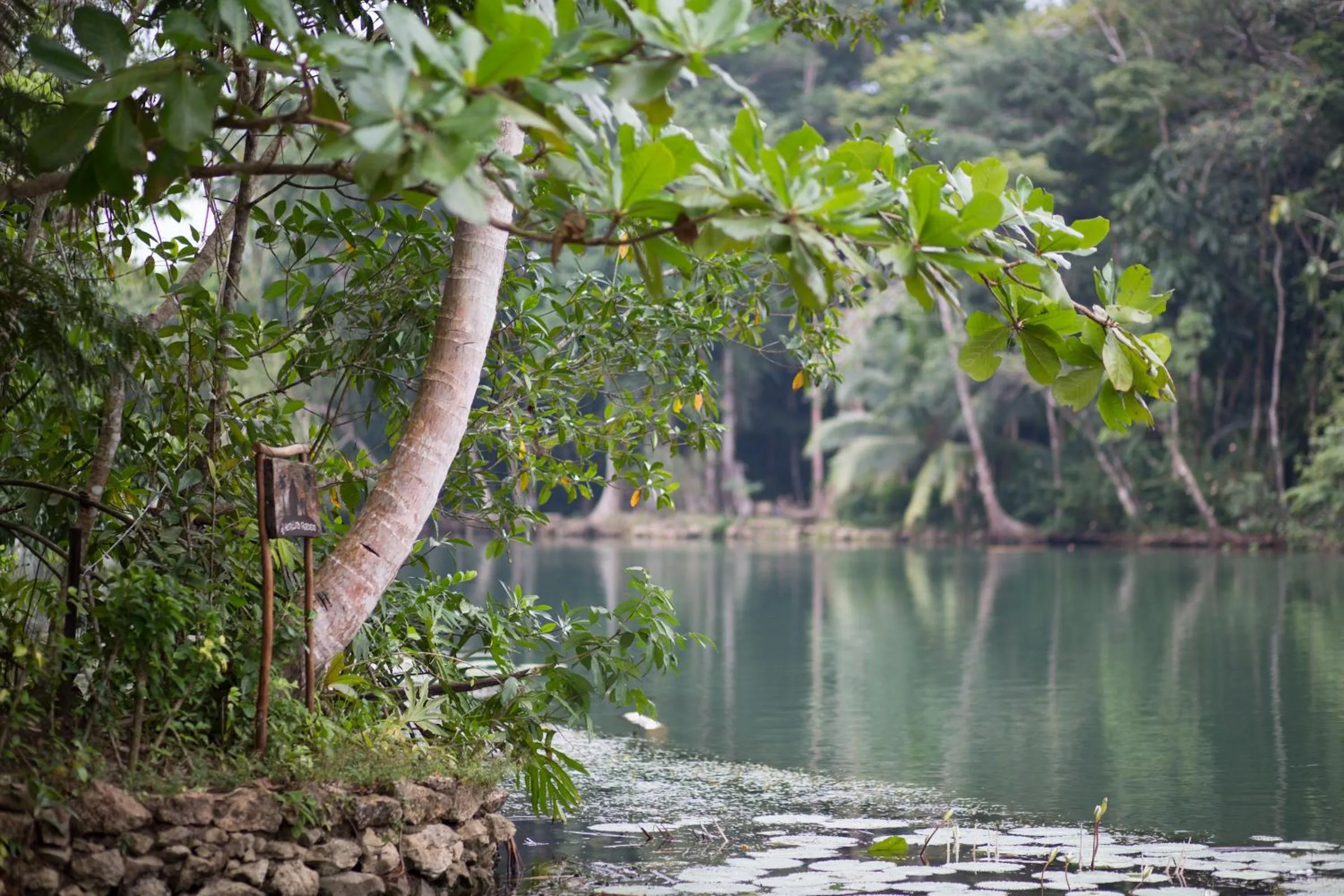 Beach in El Hotelito Perdido