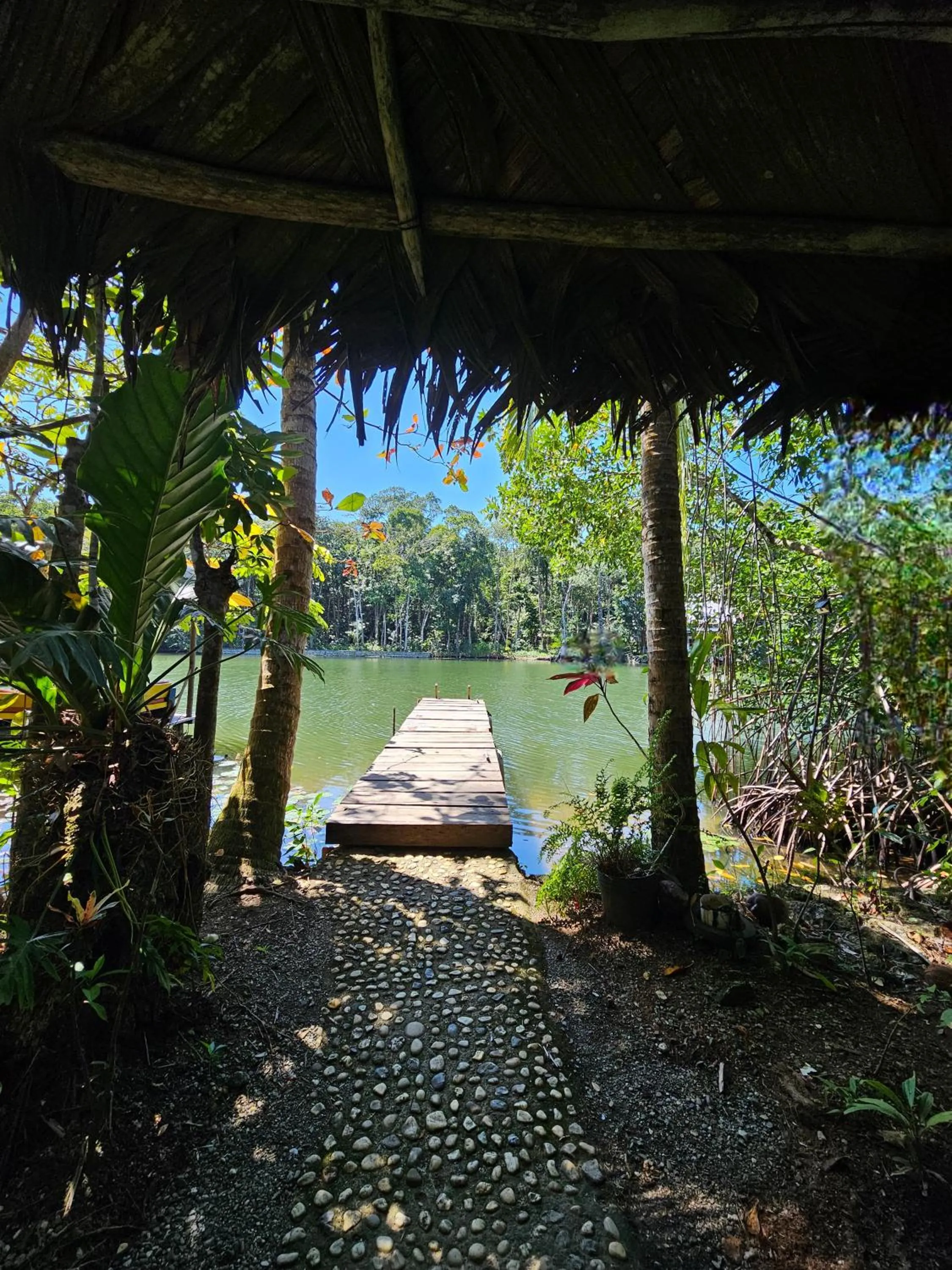 Property building in El Hotelito Perdido