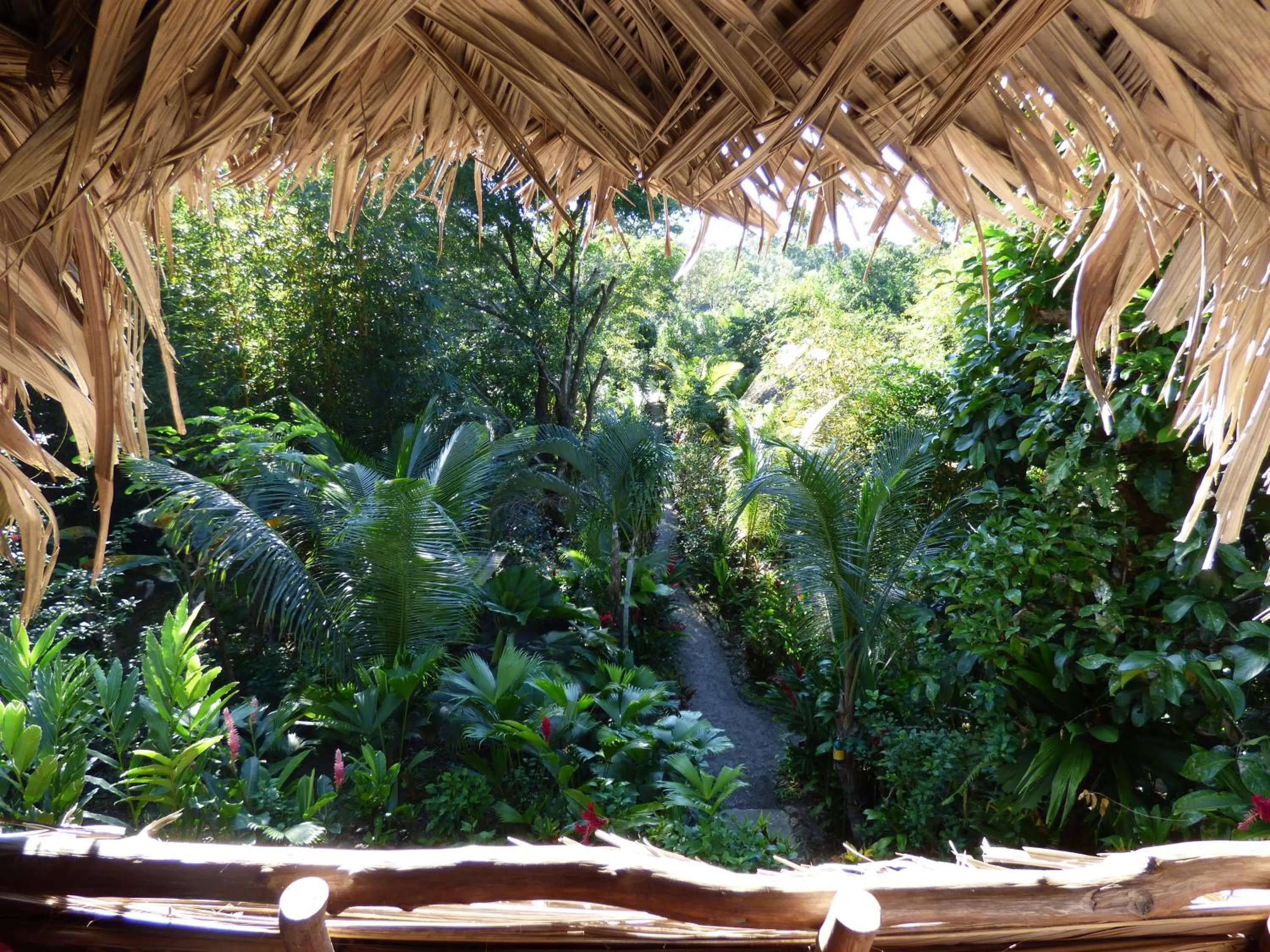 Garden view in El Hotelito Perdido