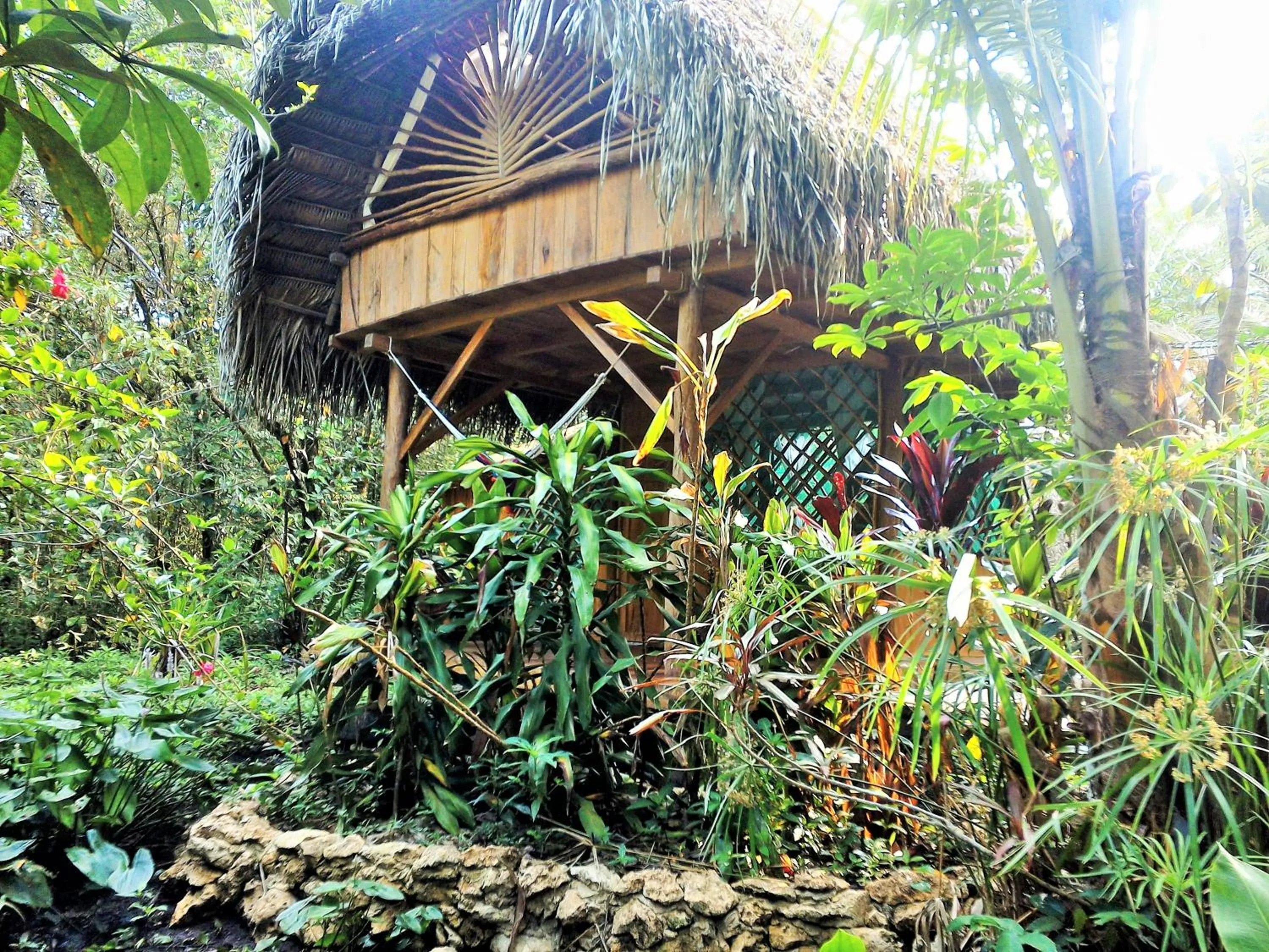 Photo of the whole room in El Hotelito Perdido