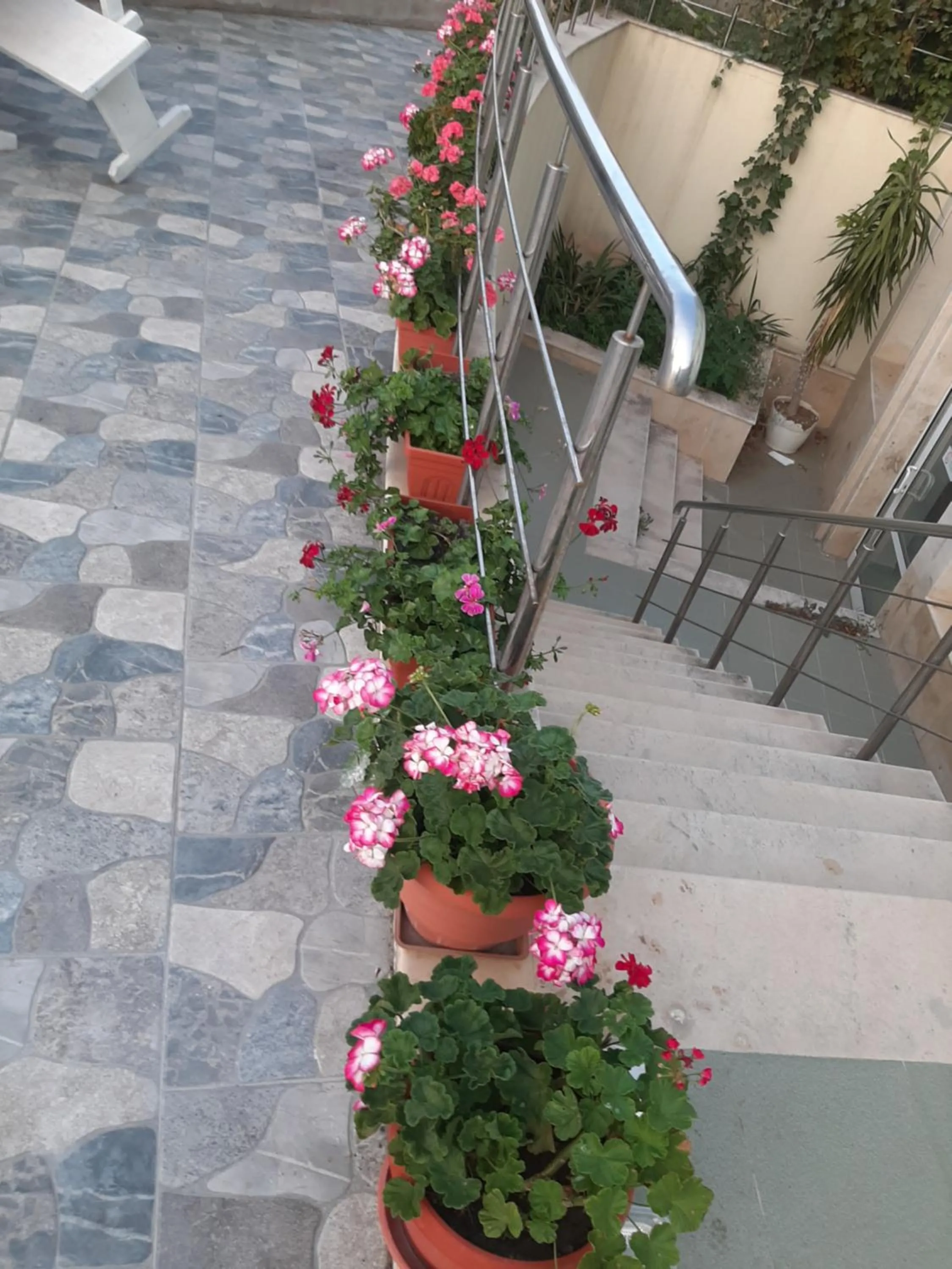 Garden in Family Hotel Coral