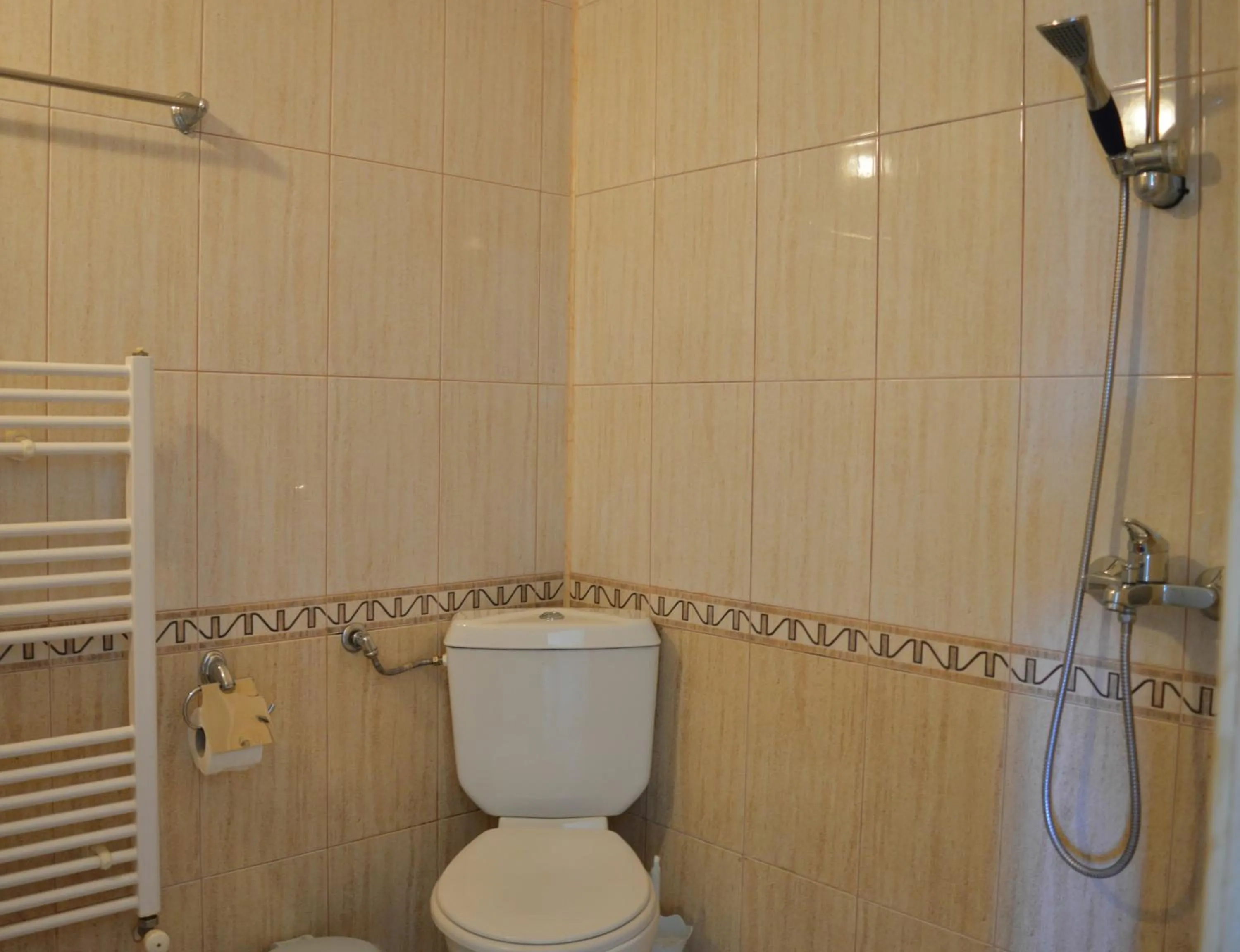 Toilet in Family Hotel Coral
