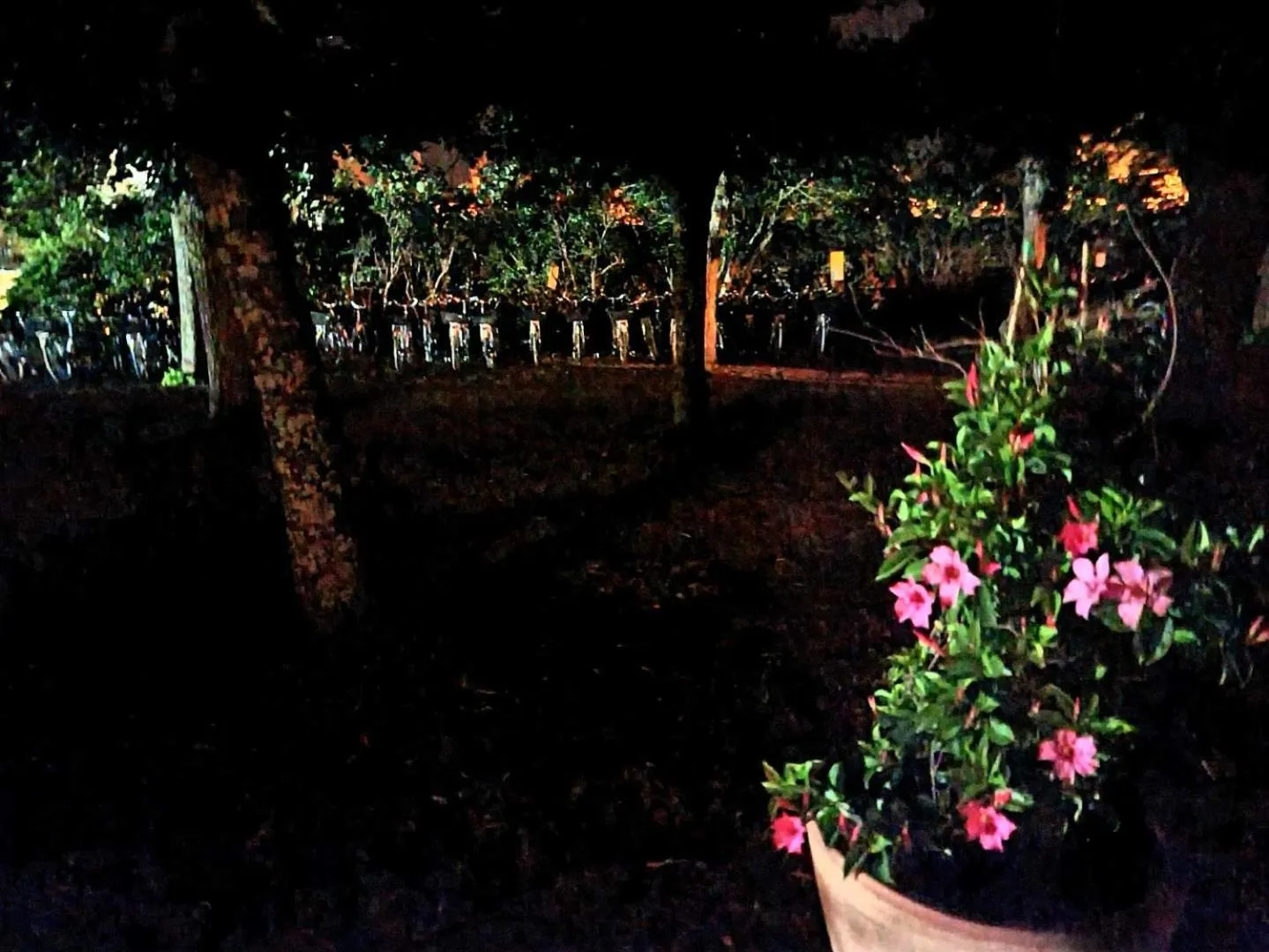 Garden in Appartement 91 Palais des Gouverneurs