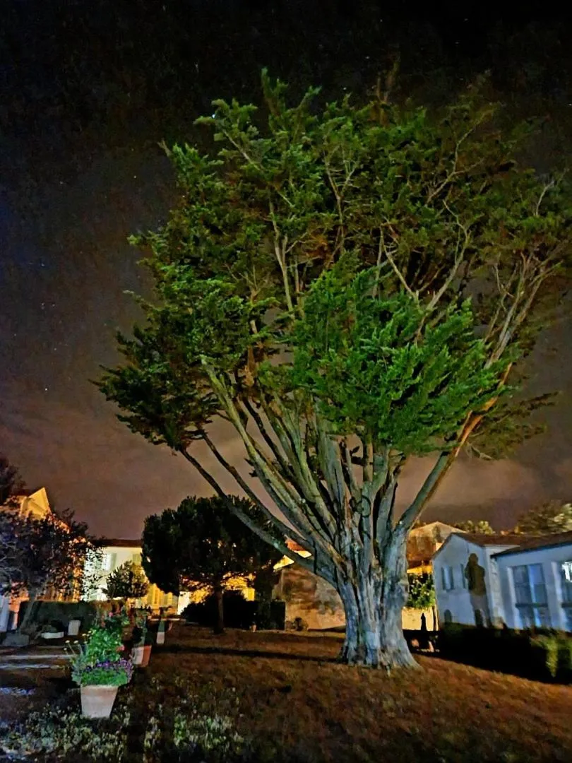 Garden in Appartement 91 Palais des Gouverneurs