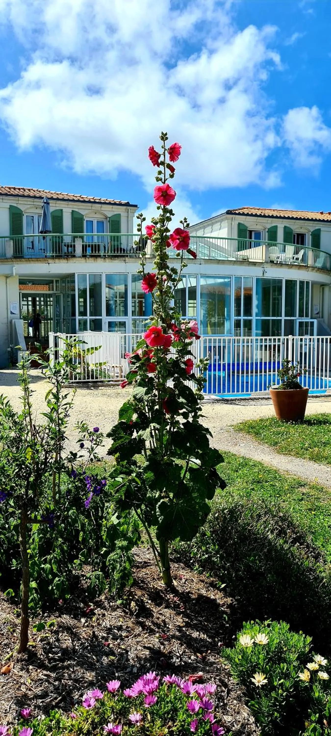 Garden in Appartement 91 Palais des Gouverneurs