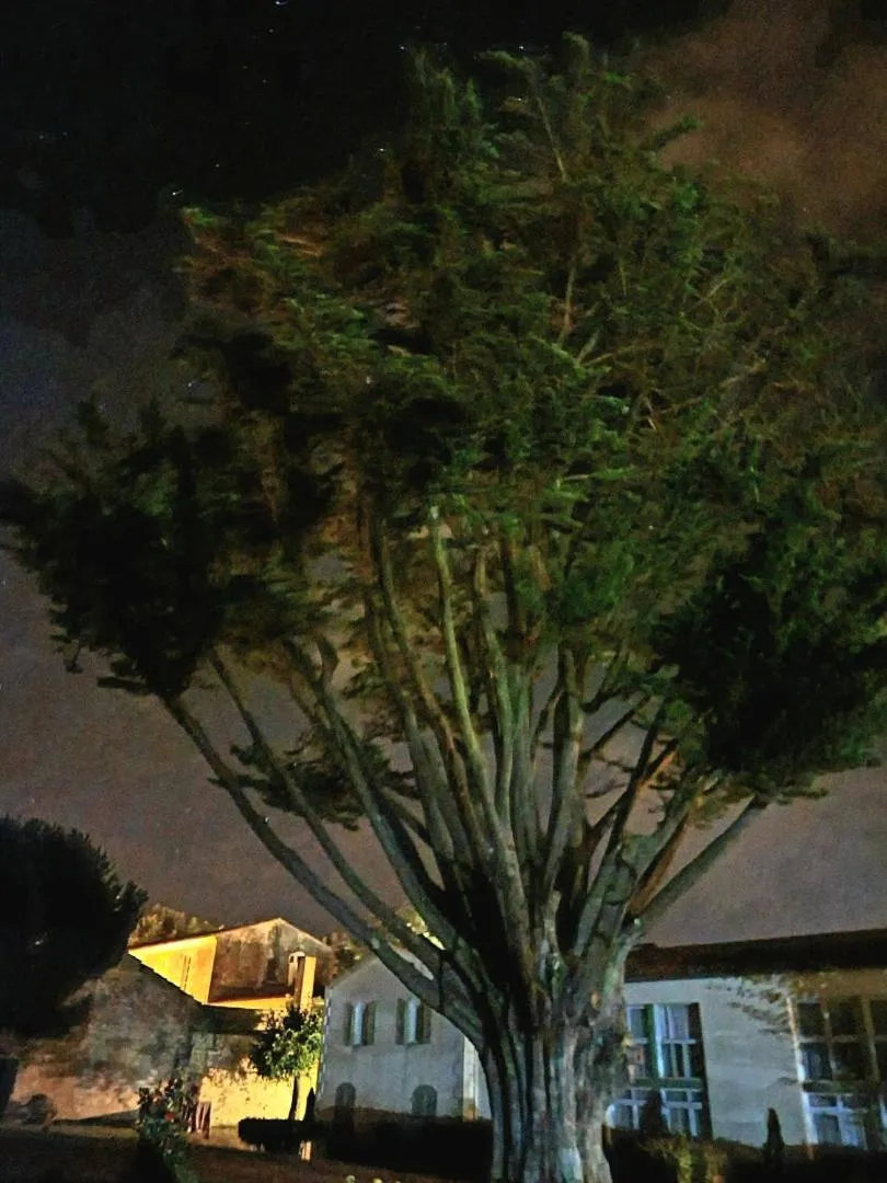 Garden in Appartement 91 Palais des Gouverneurs