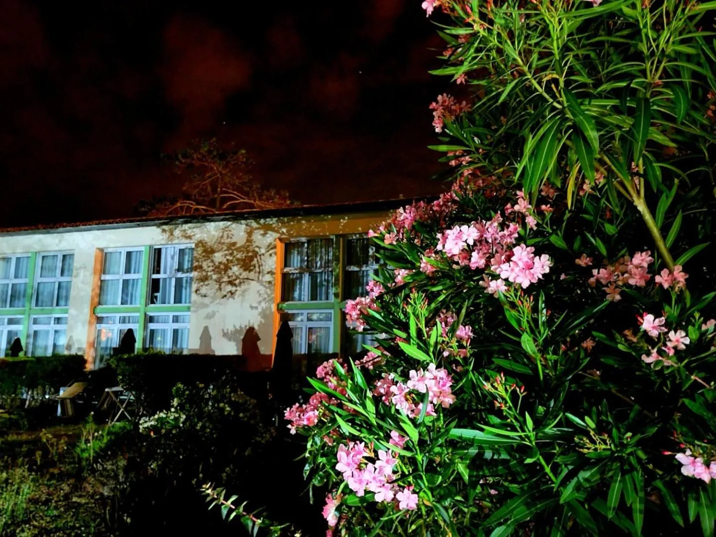 Garden in Appartement 91 Palais des Gouverneurs