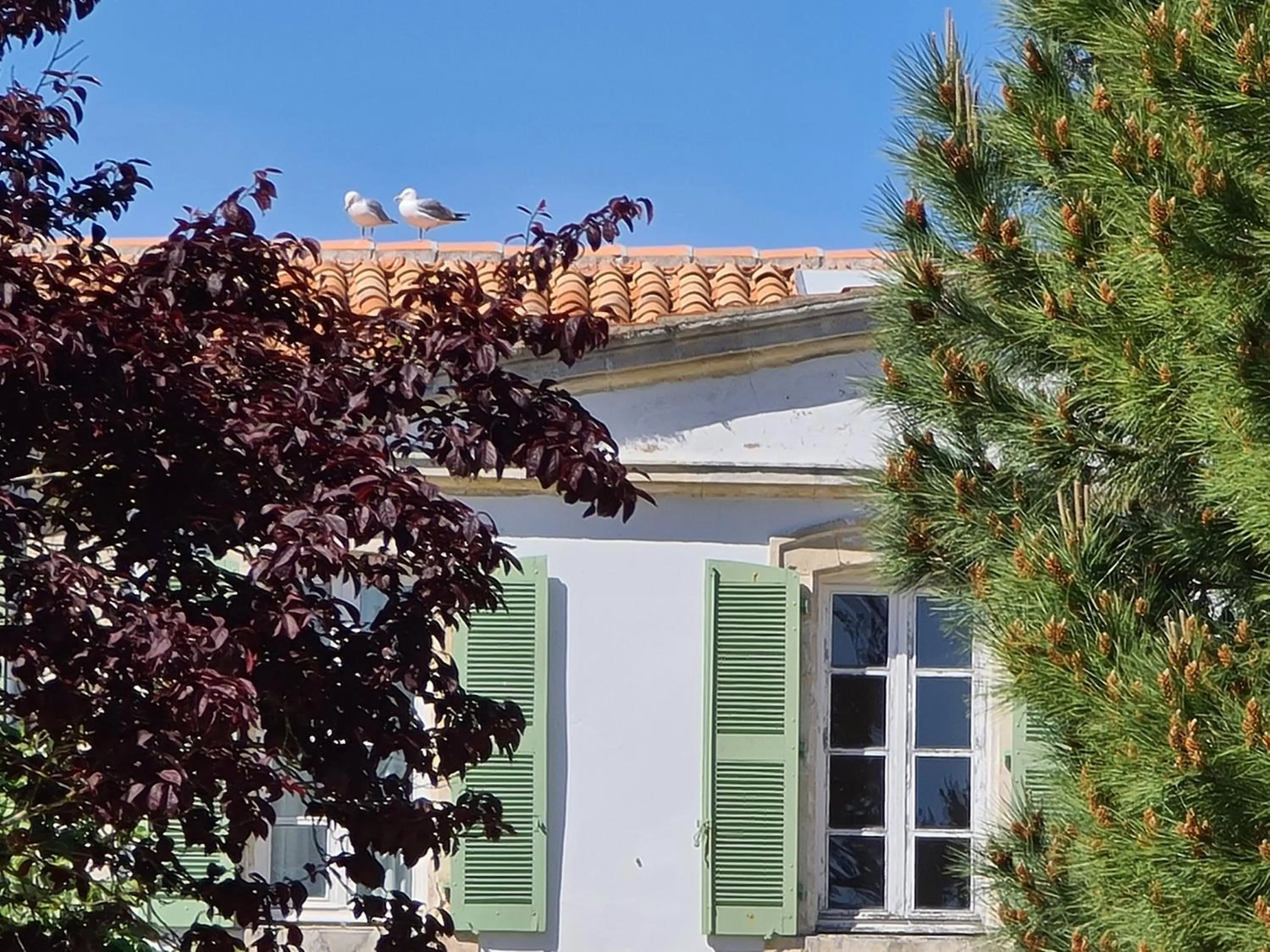 Appartement 91 Palais des Gouverneurs