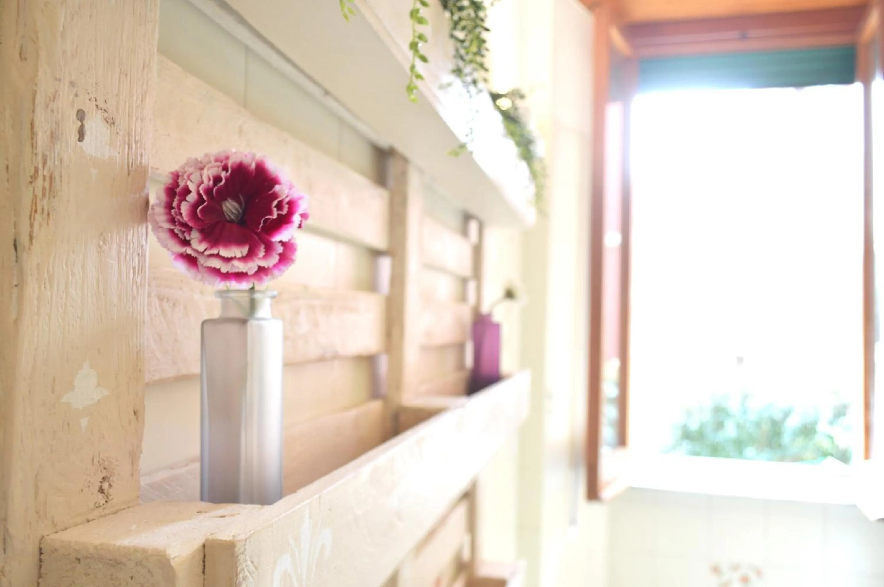 Kitchen or kitchenette in Appartamento di Nina