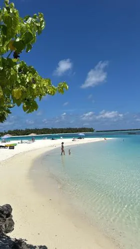 VelaaVani - Turtle Hive Dhiffushi