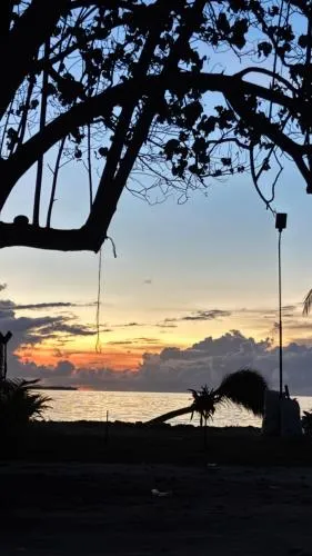 VelaaVani - Turtle Hive Dhiffushi
