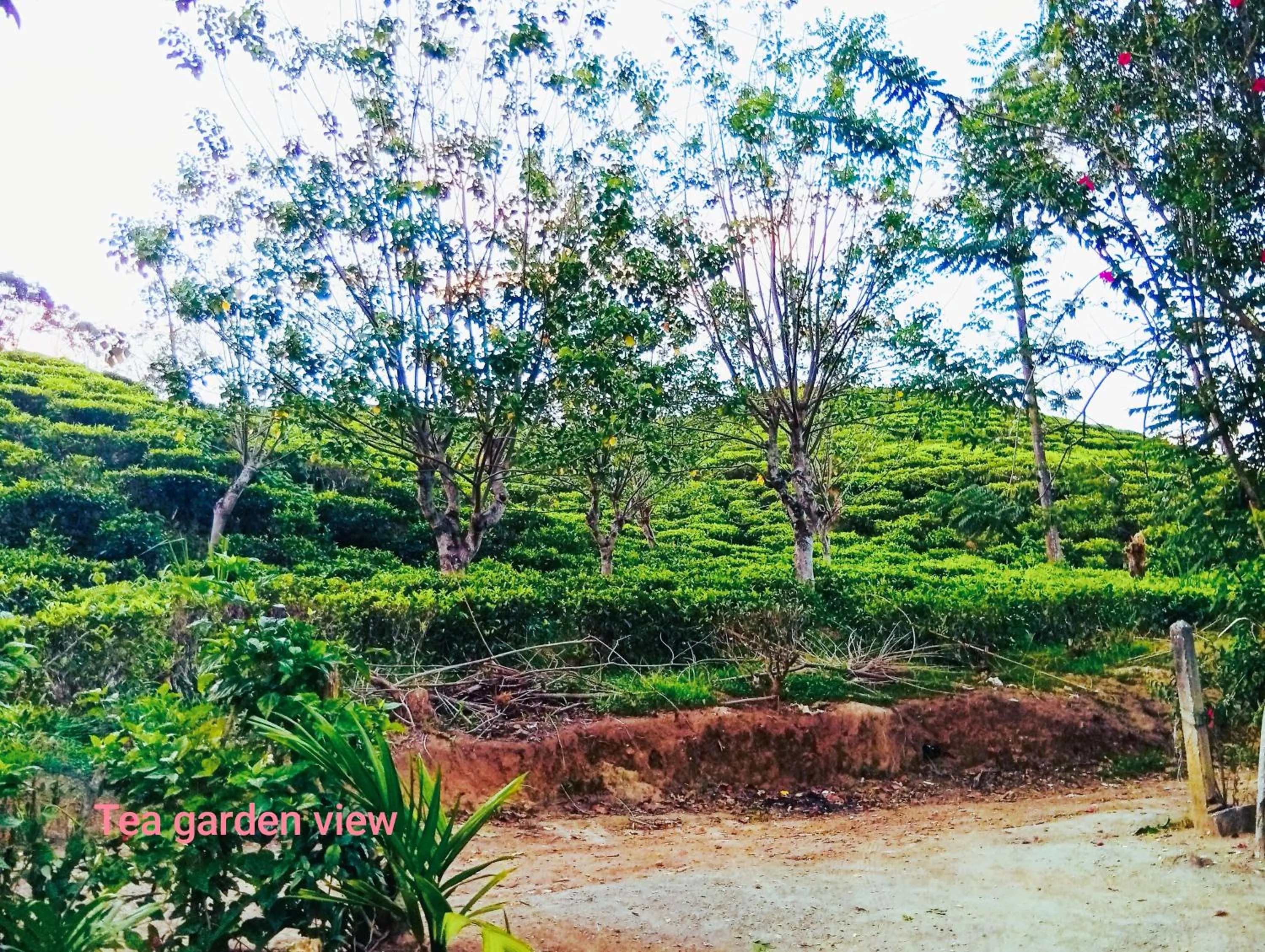 Ella Tunnel Corner Inn