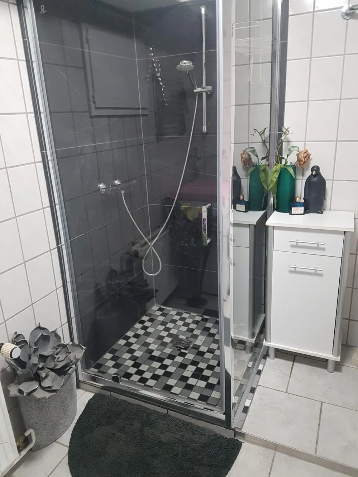 Ferienwohnung Meier