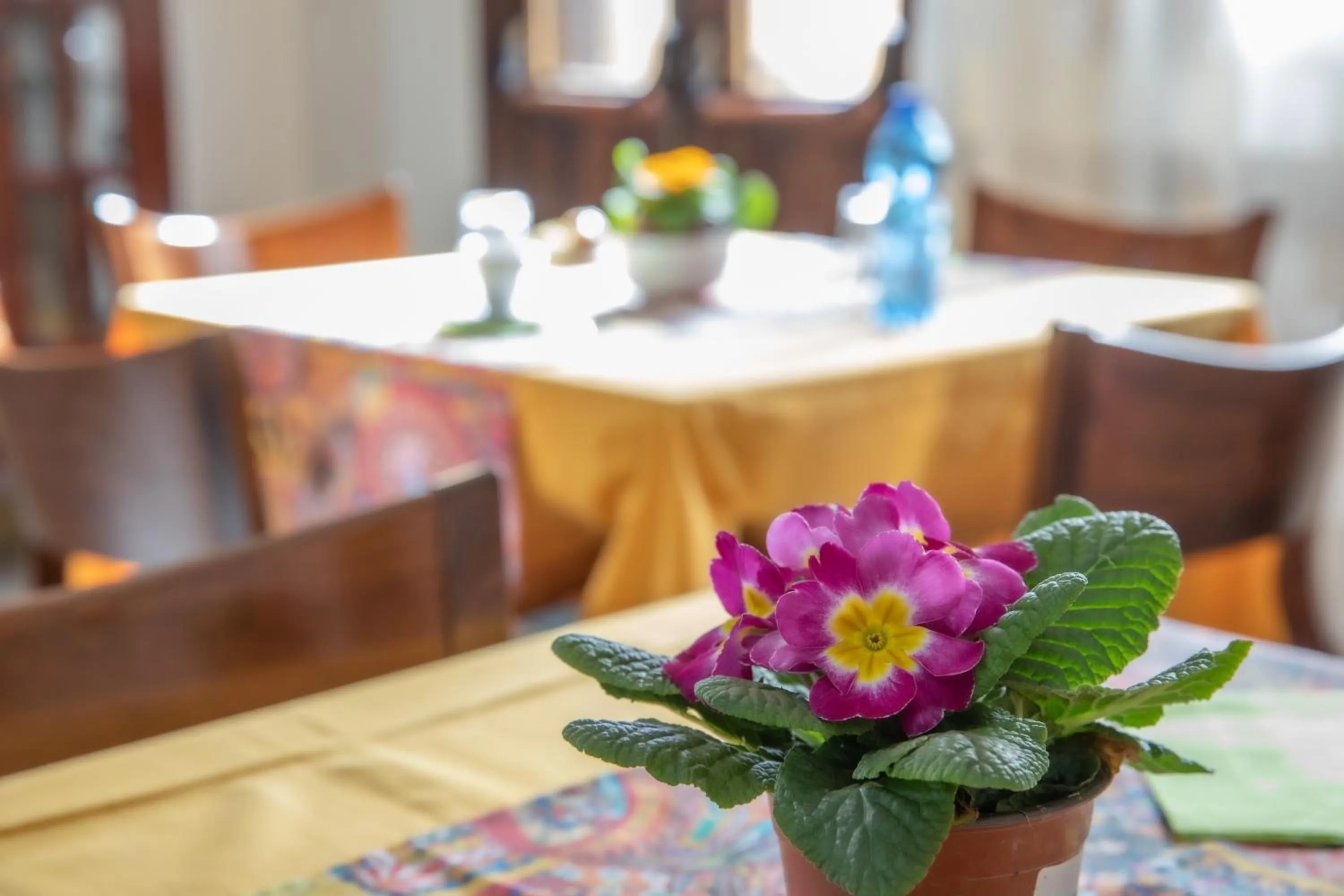 Communal lounge/ TV room in Hotel Merlino