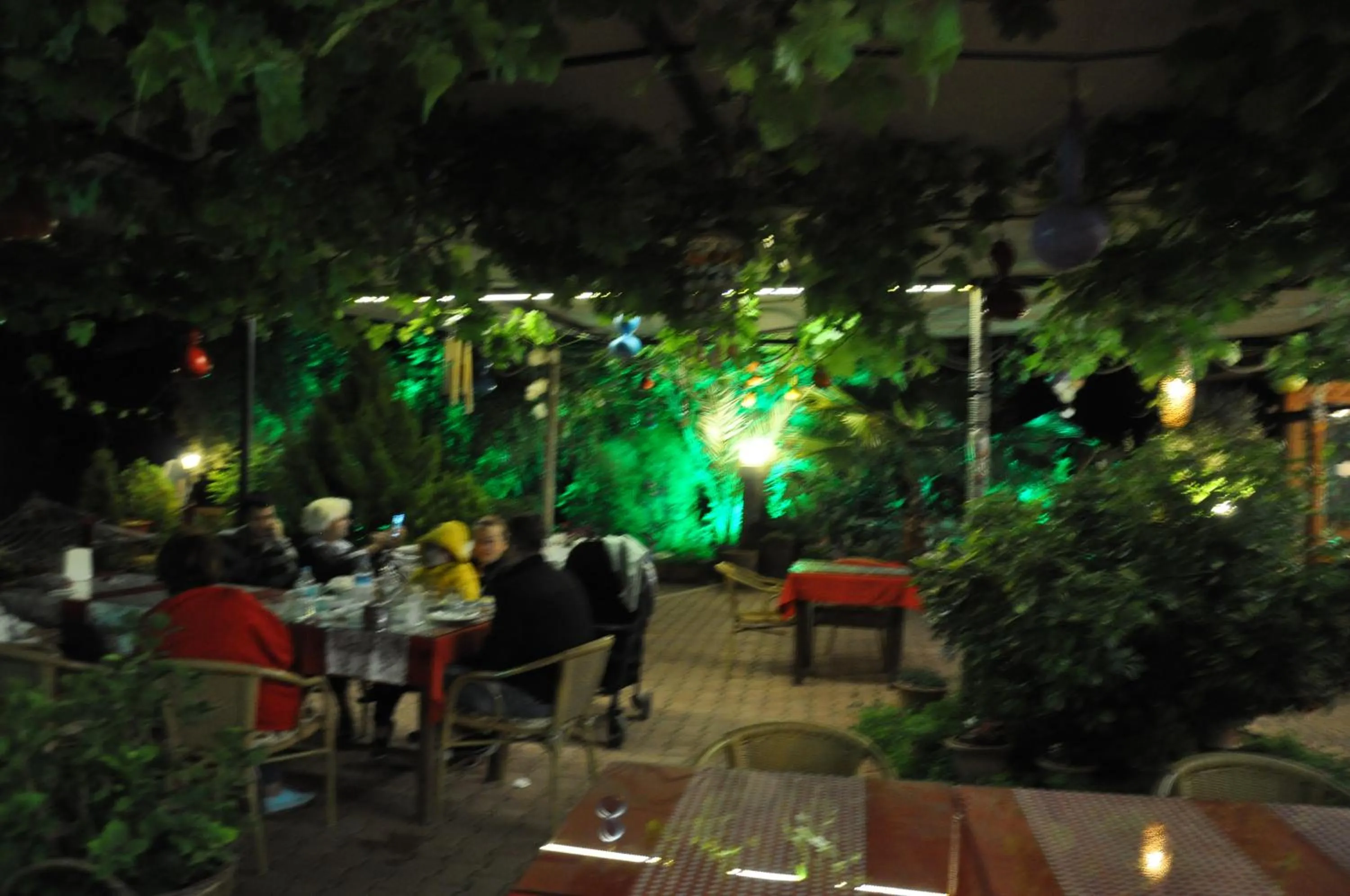 group of guests in Adrasan Shambala