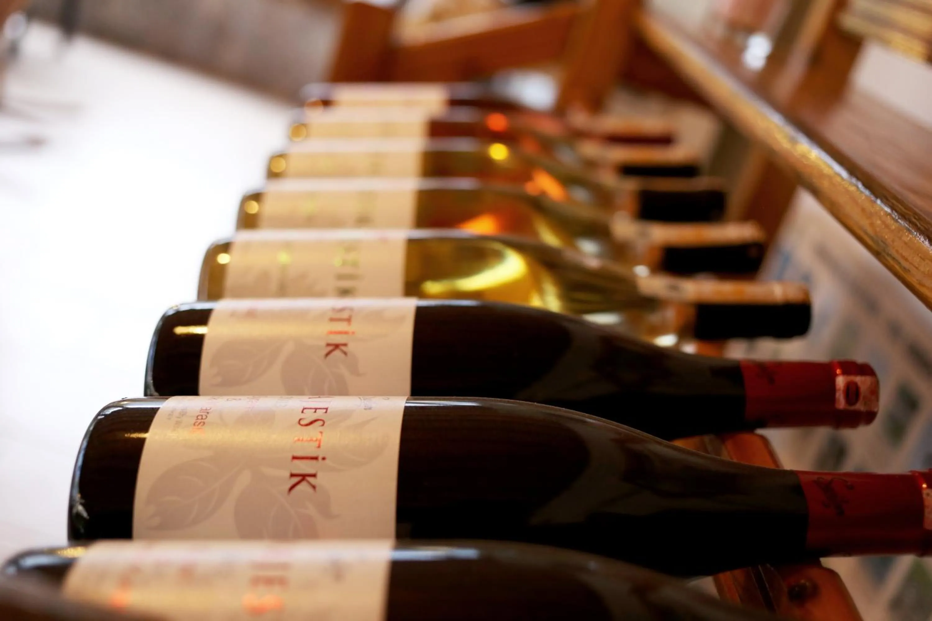 Entertainment in Adrasan Shambala