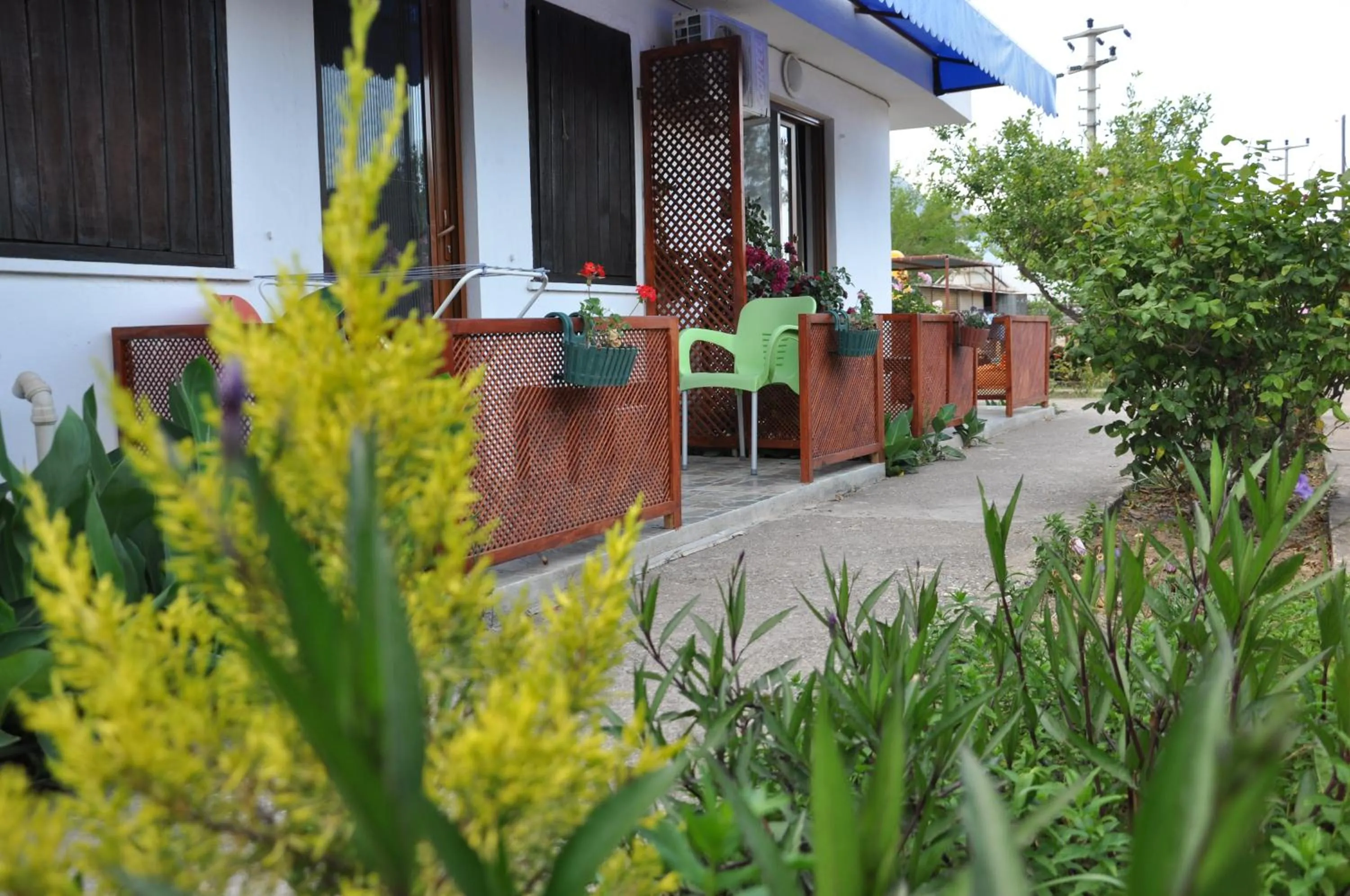 Decorative detail in Adrasan Shambala