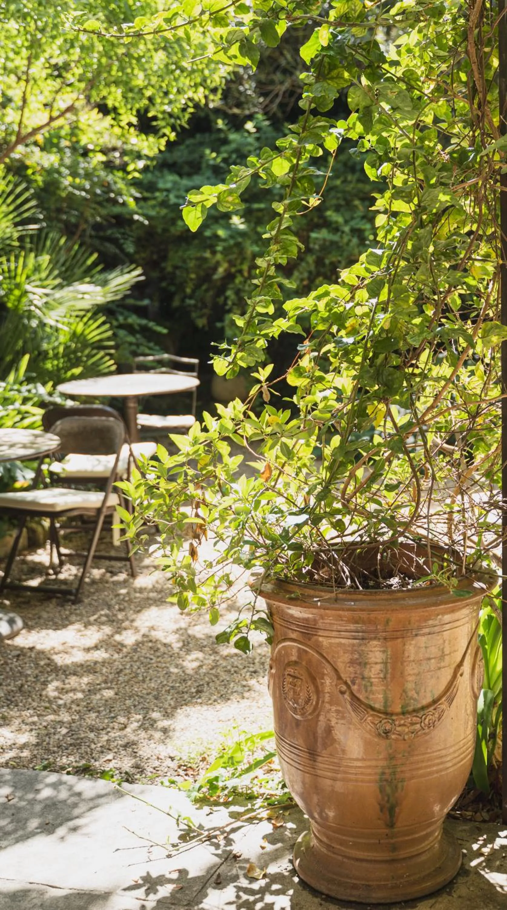 Garden in Les Jardins de Baracane