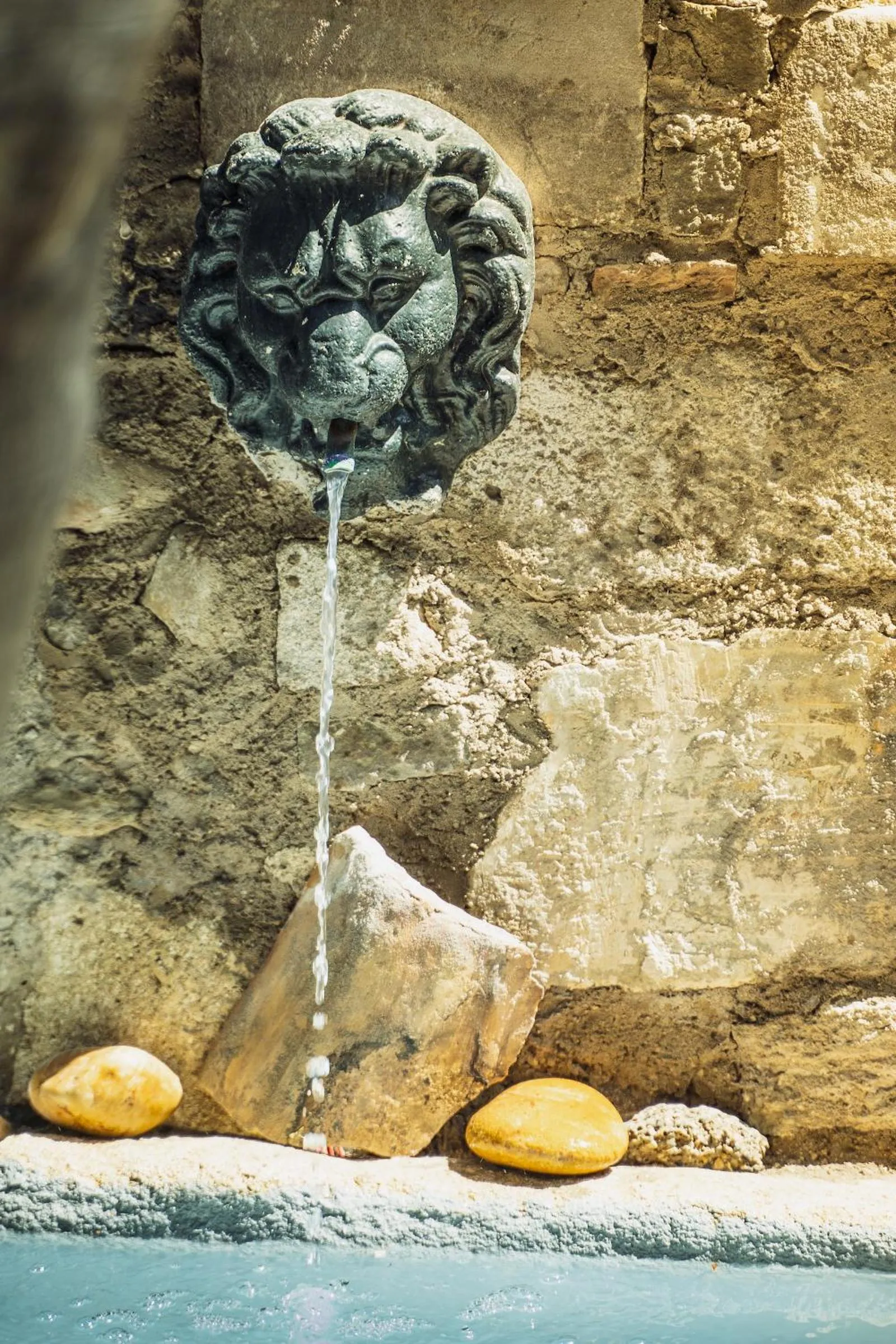 Garden in Les Jardins de Baracane
