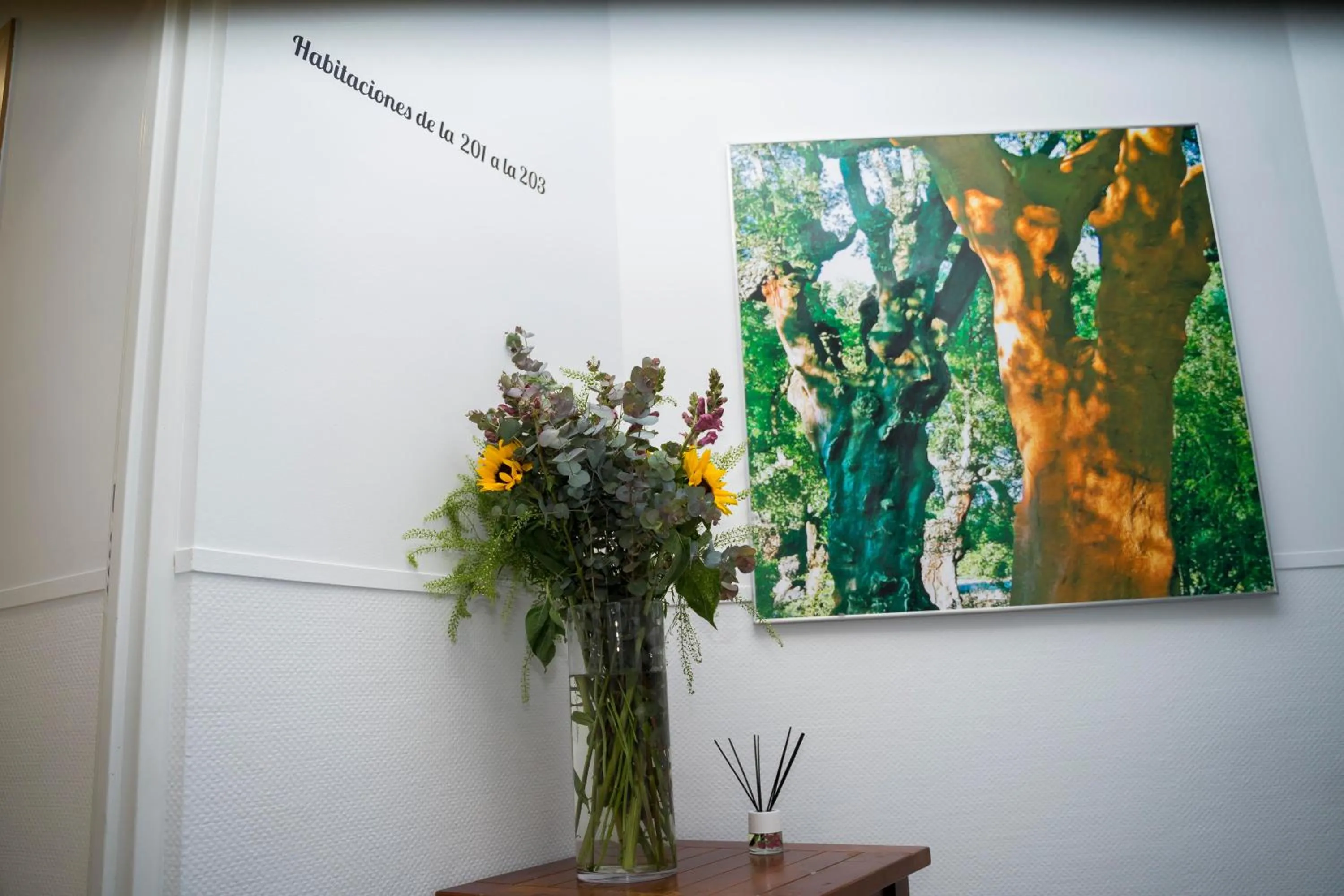 Hostal Goyesco Plaza