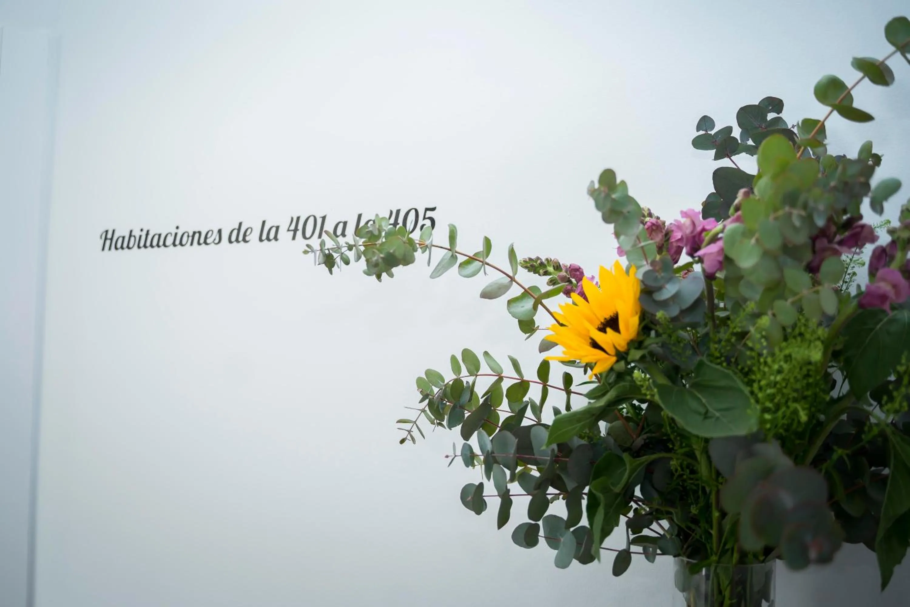 Hostal Goyesco Plaza