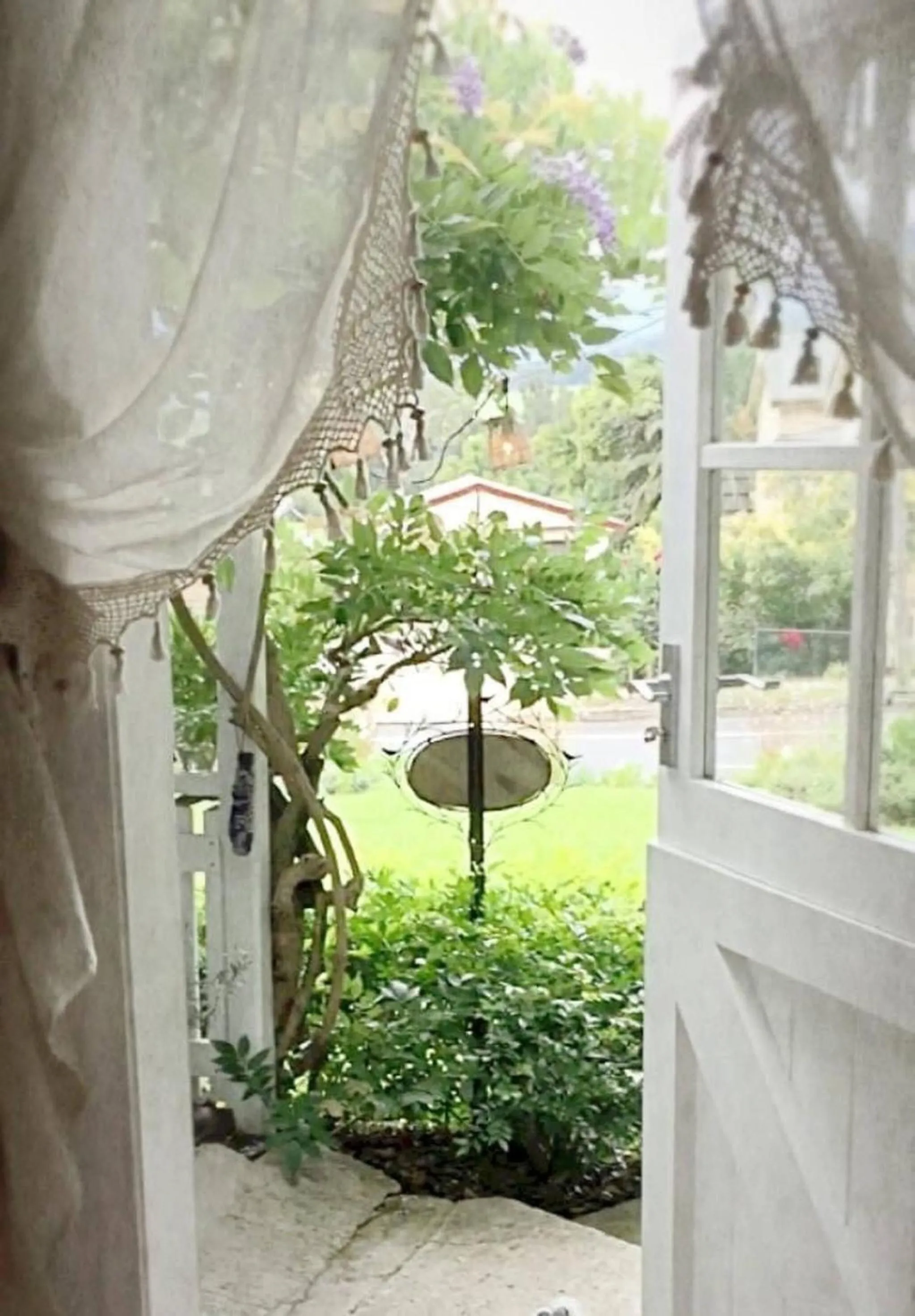 Garden in The Old Bakery in Historic Kangaroo Valley Village