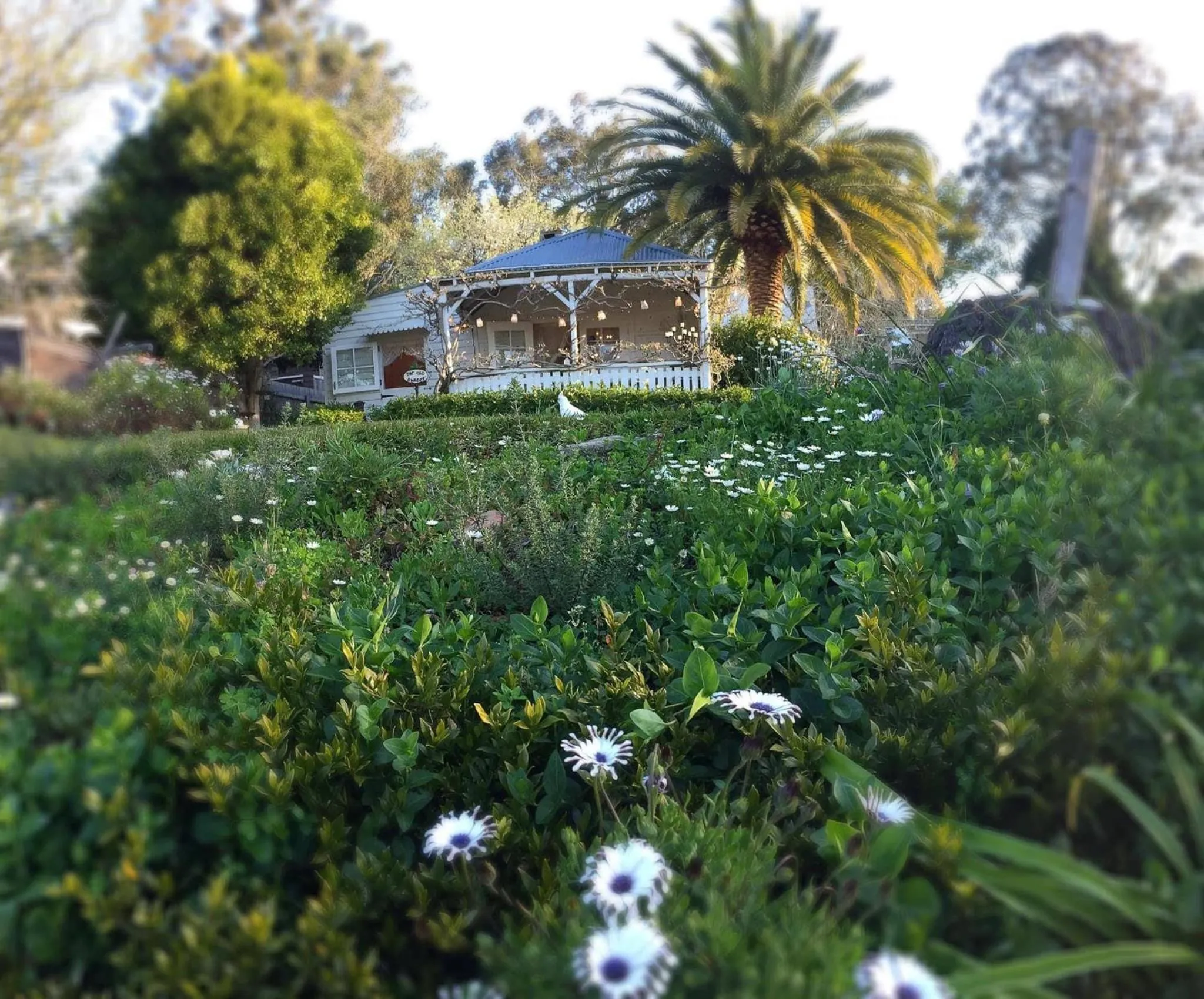 Summer in The Old Bakery in Historic Kangaroo Valley Village