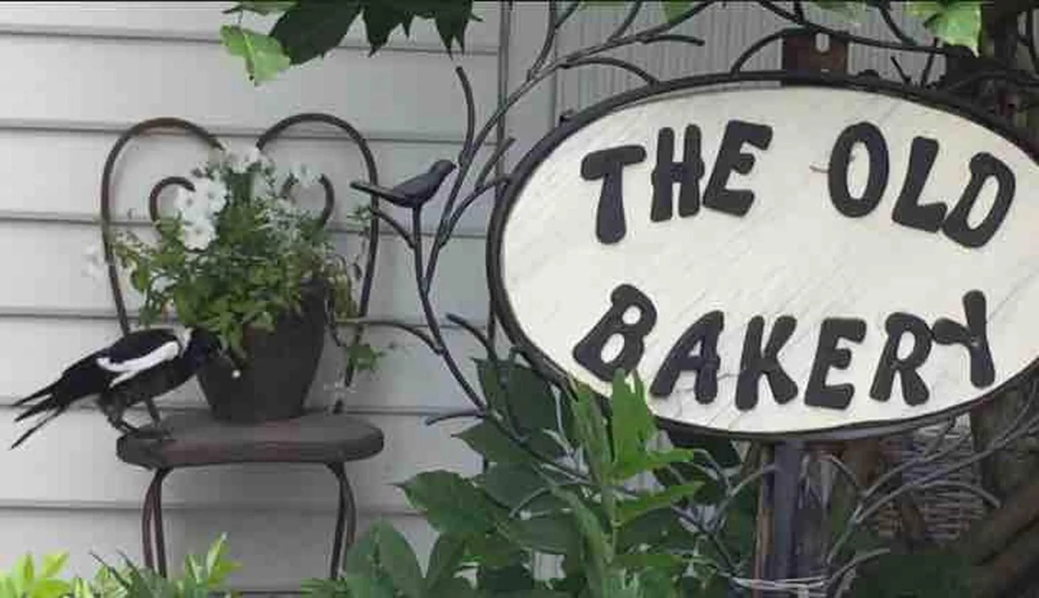 Animals in The Old Bakery in Historic Kangaroo Valley Village