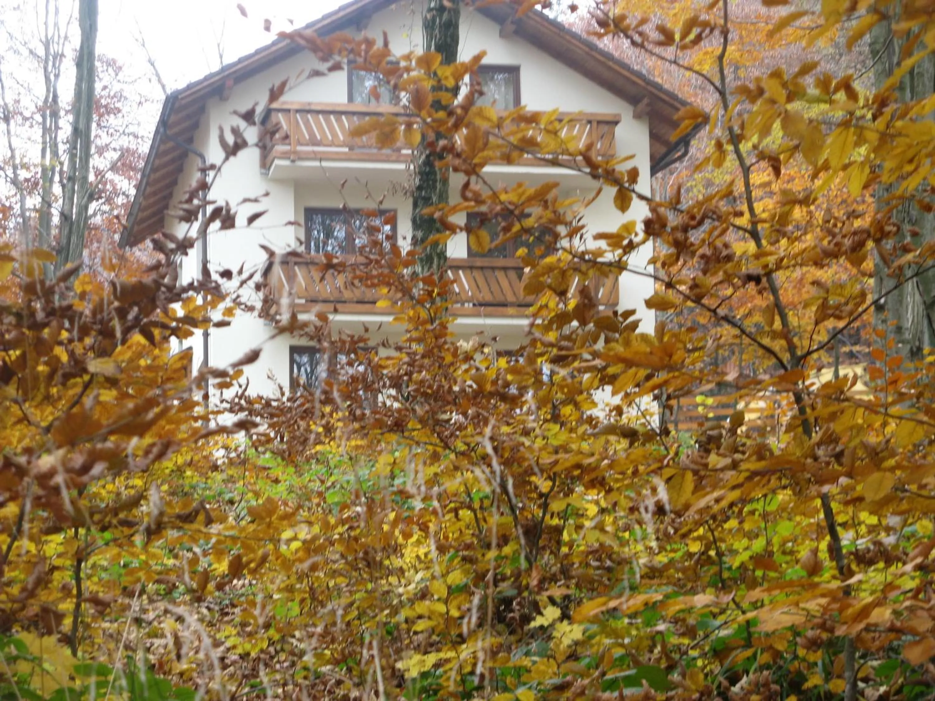 Casa de vacanta Mogosa